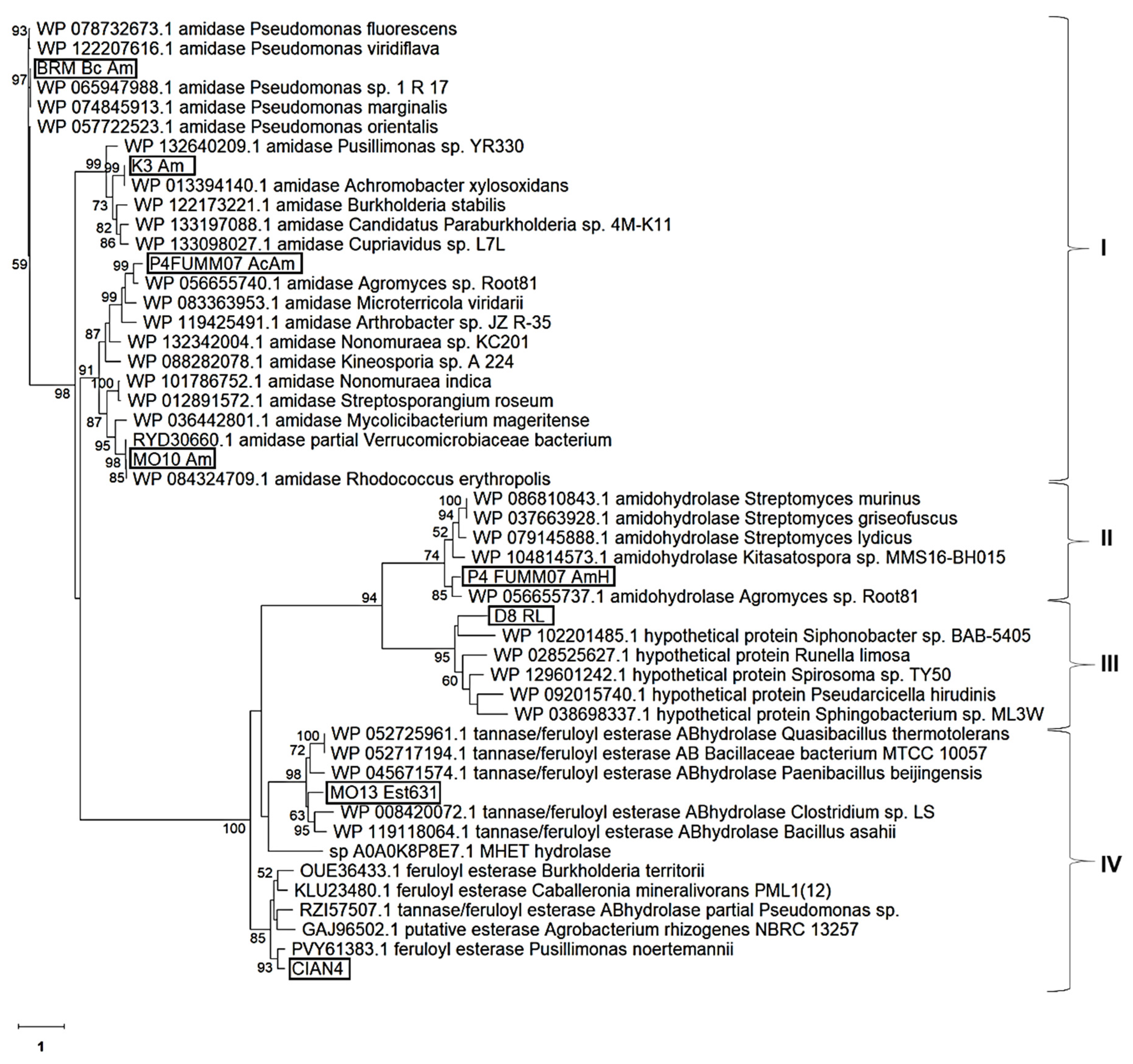 Catalysts 10 00445 g002 Catalysts 10 00445 g002