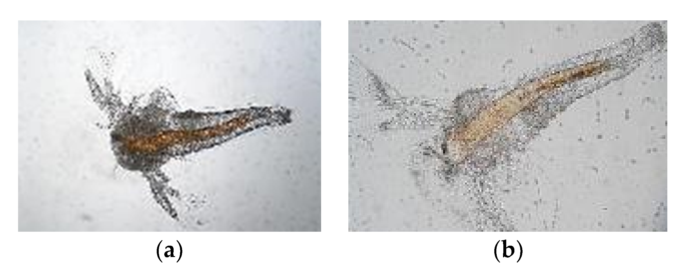 Catalysts 10 00446 g008a Catalysts 10 00446 g008a