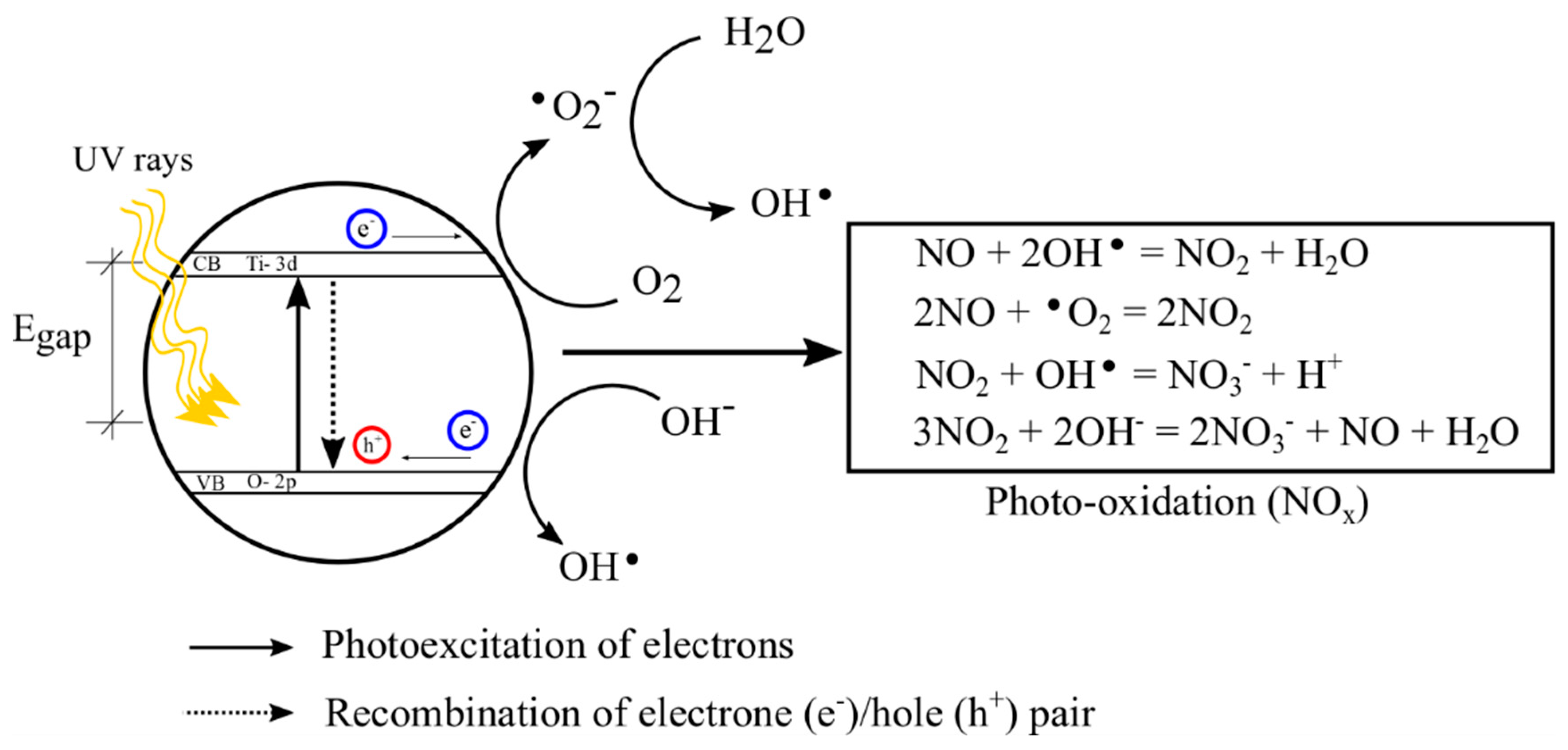 Catalysts 10 00452 g001