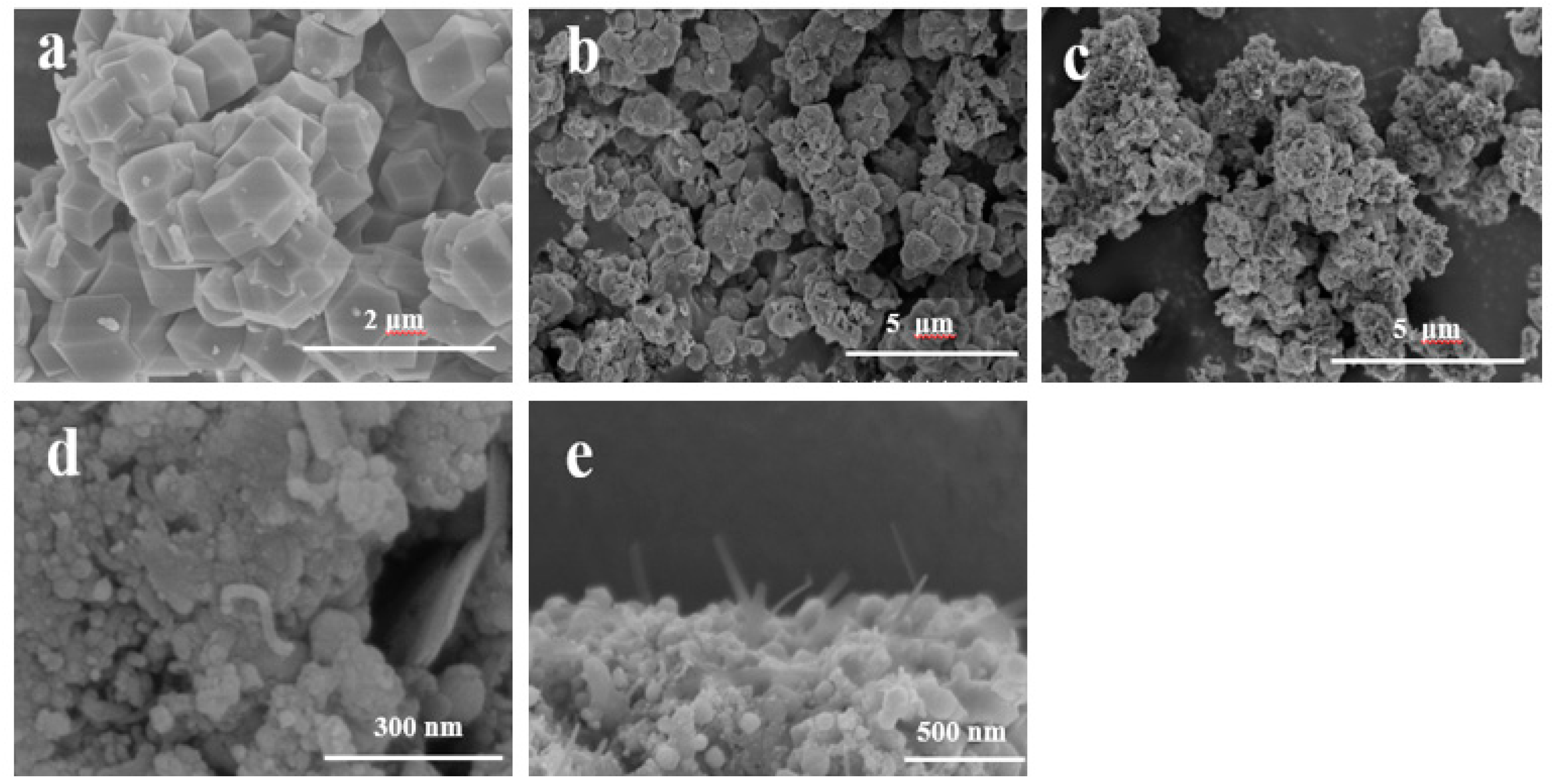 Catalysts 10 00455 g002
