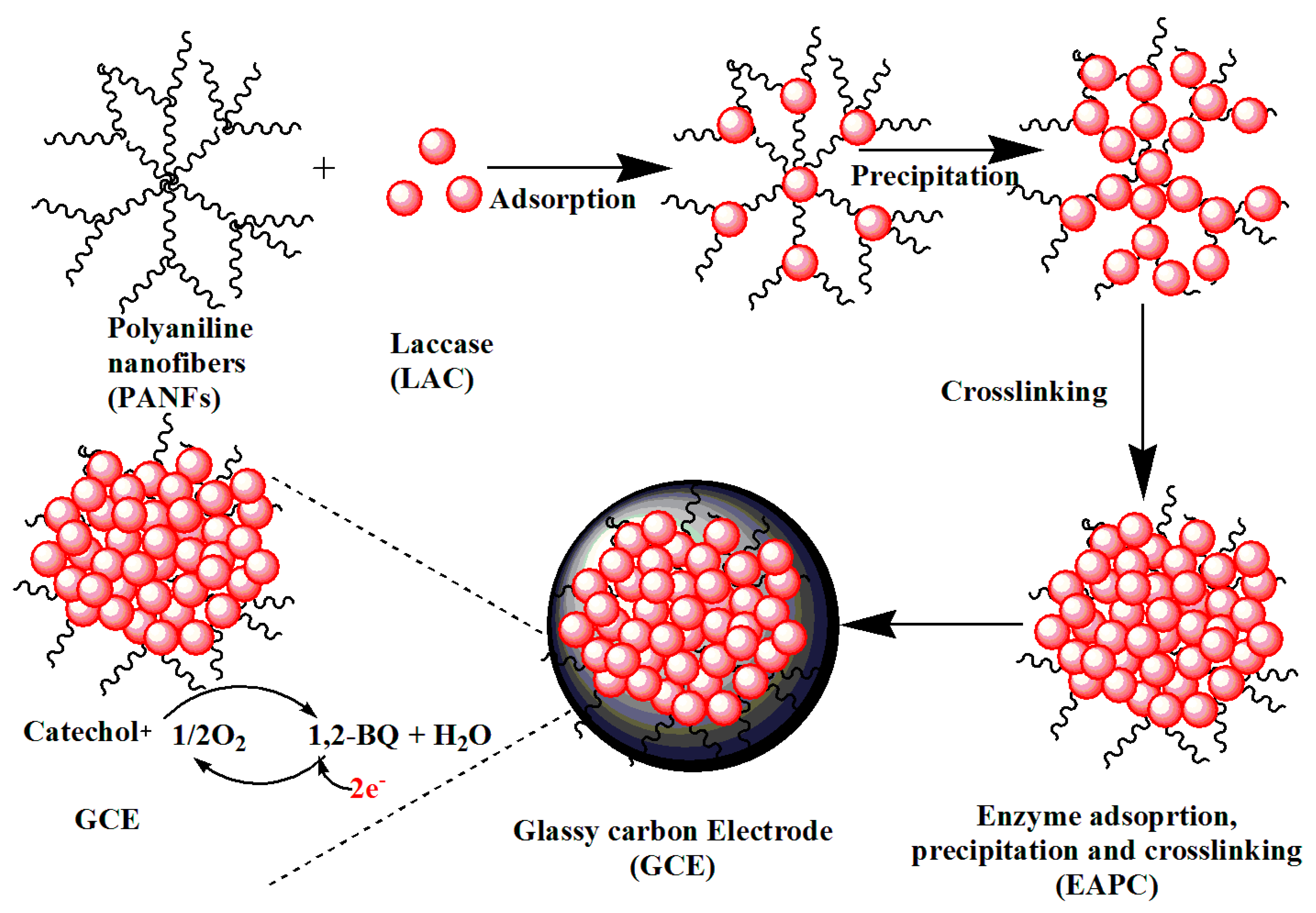 Catalysts 10 00467 g002 Catalysts 10 00467 g002