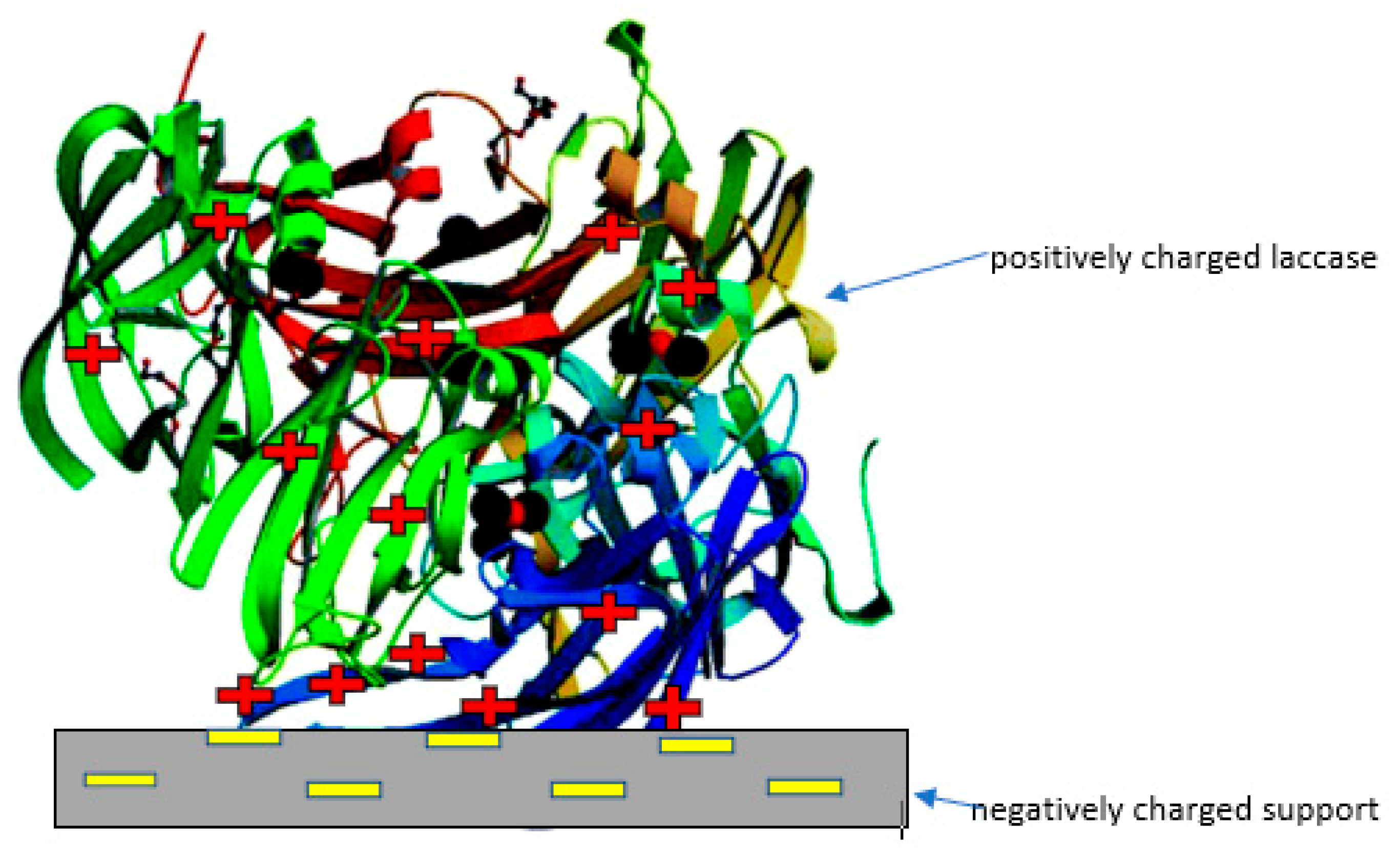 Catalysts 10 00467 g003 Catalysts 10 00467 g003