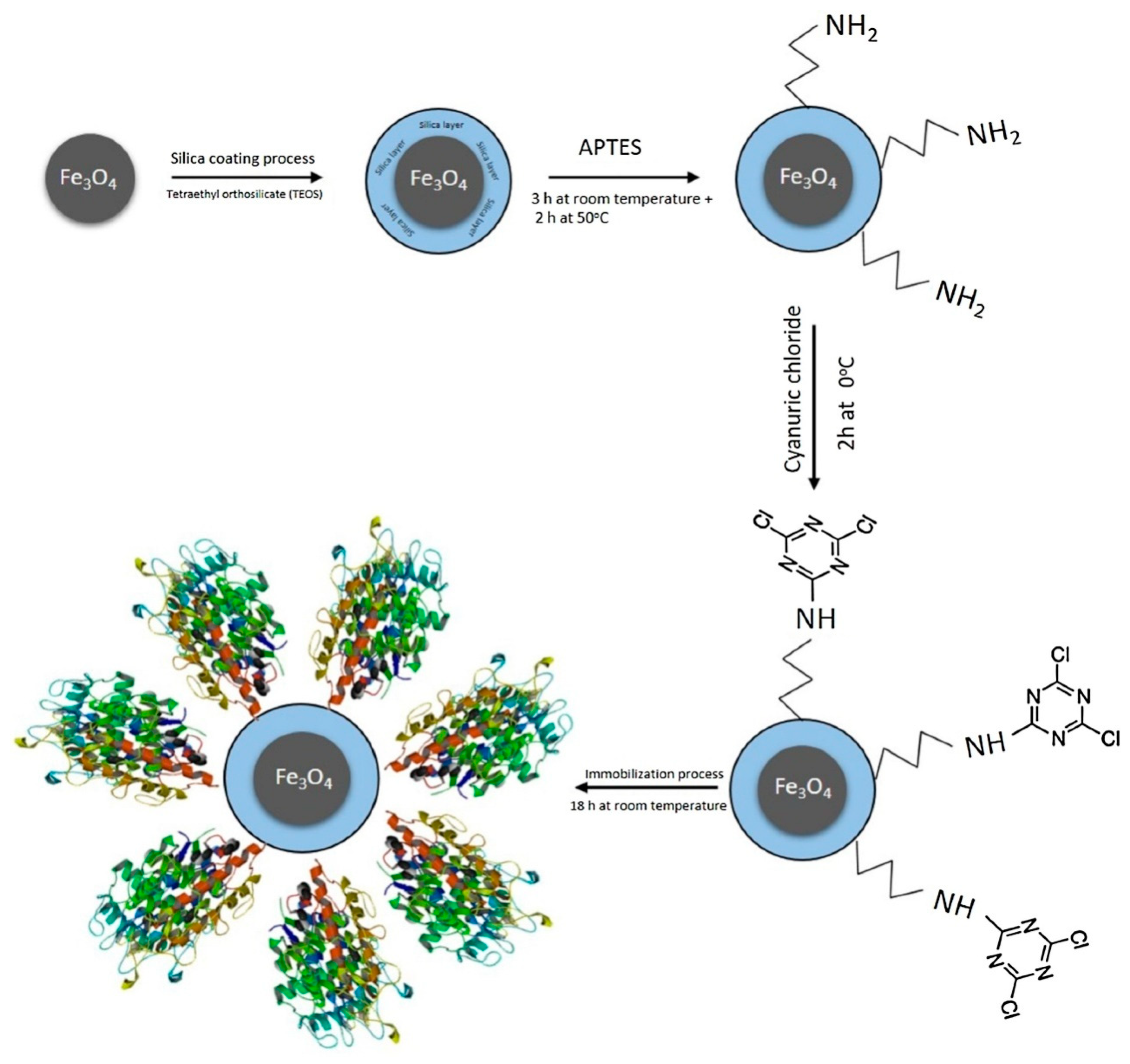 Catalysts 10 00467 g005 Catalysts 10 00467 g005
