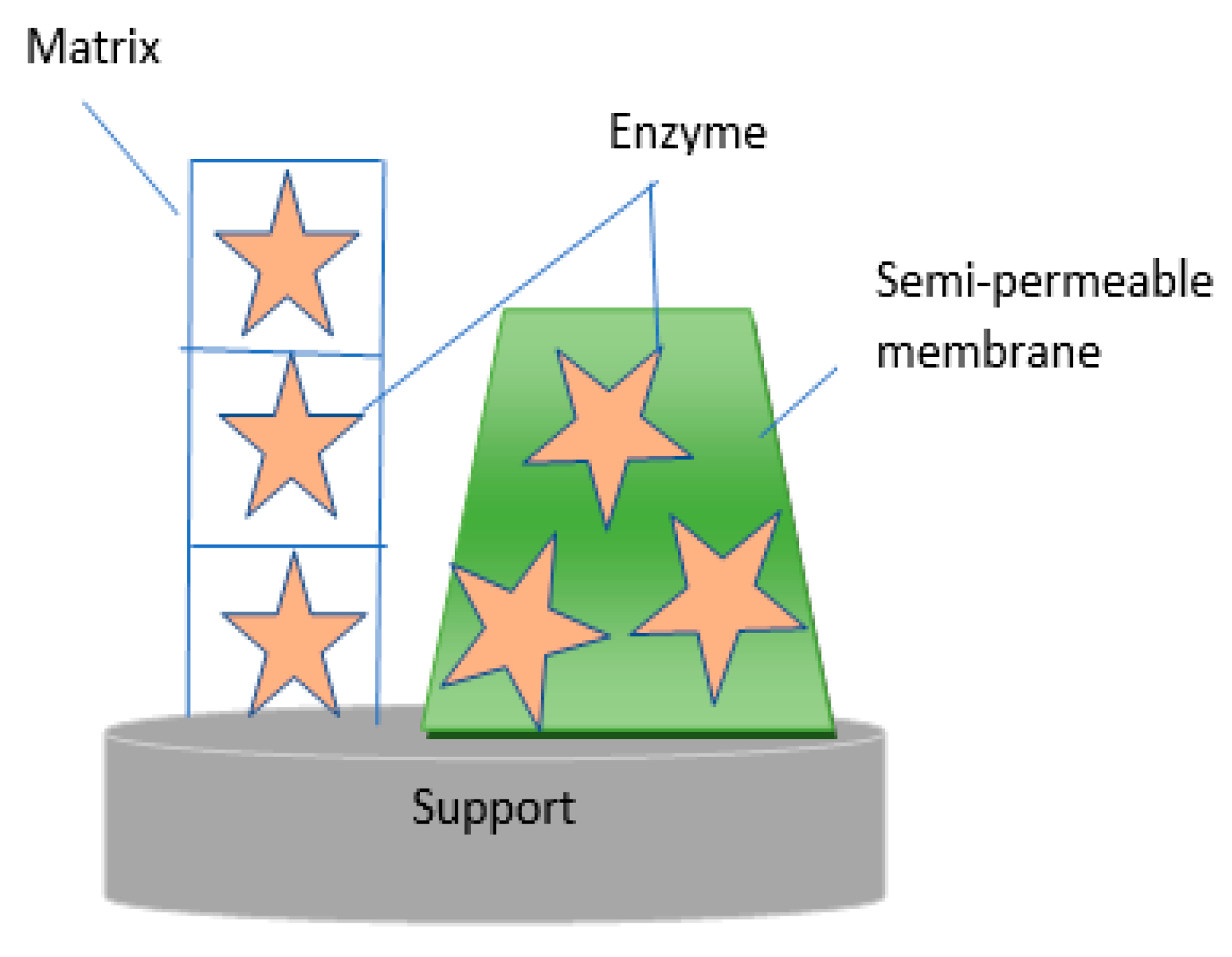 Catalysts 10 00467 g007 Catalysts 10 00467 g007