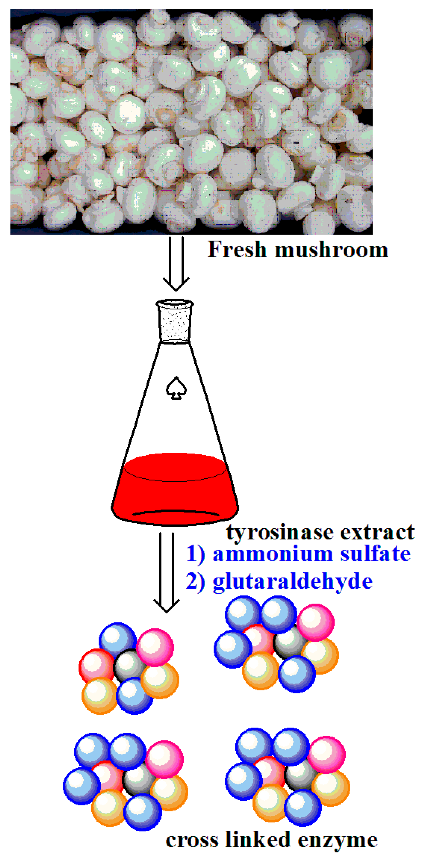 Catalysts 10 00467 g008 Catalysts 10 00467 g008