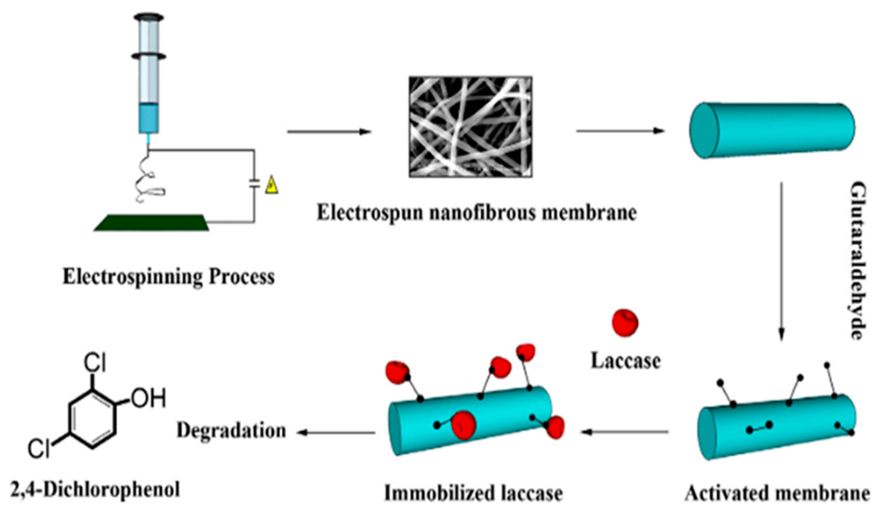 Catalysts 10 00467 g009 Catalysts 10 00467 g009