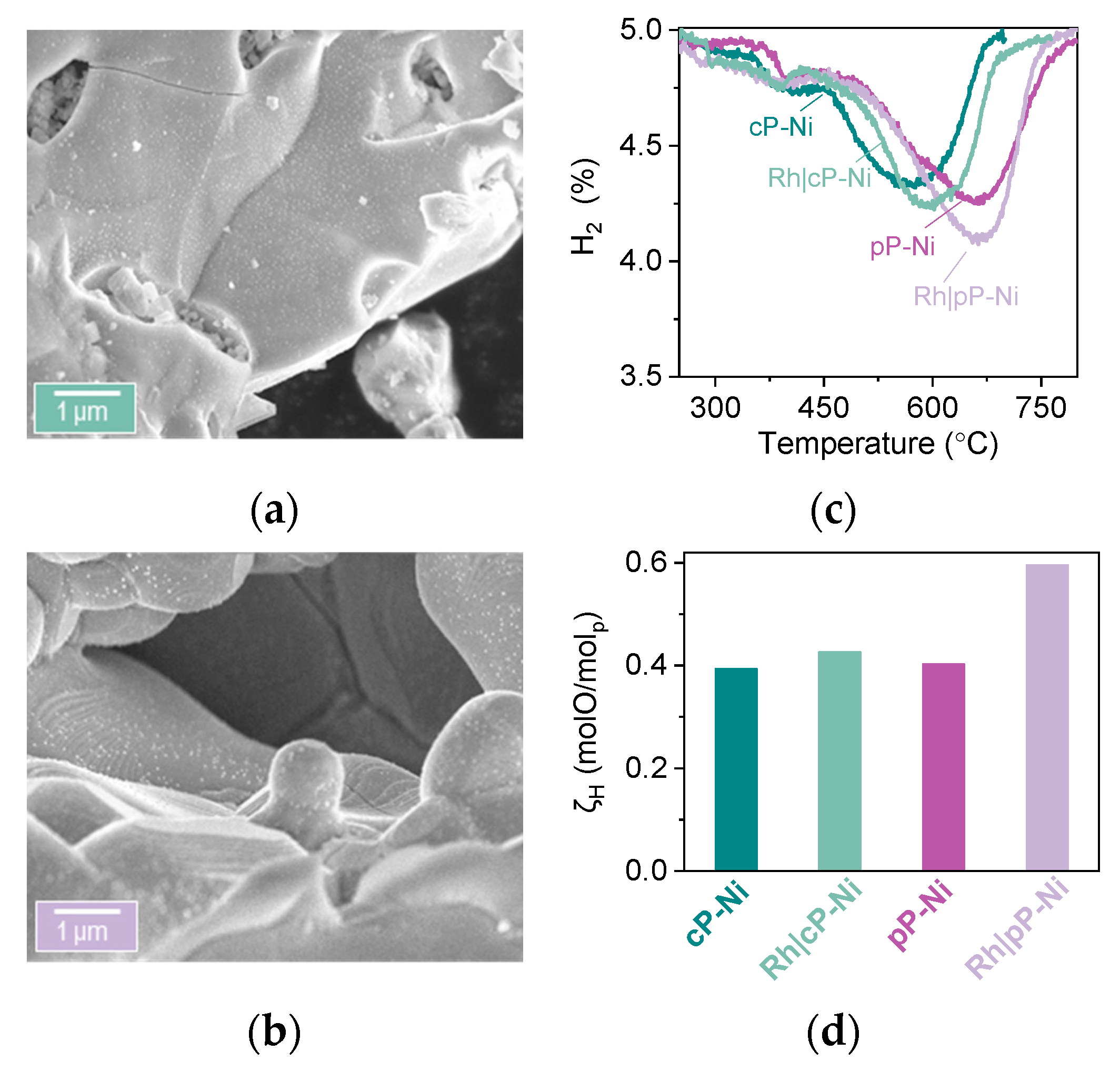 Catalysts 10 00468 g006 Catalysts 10 00468 g006