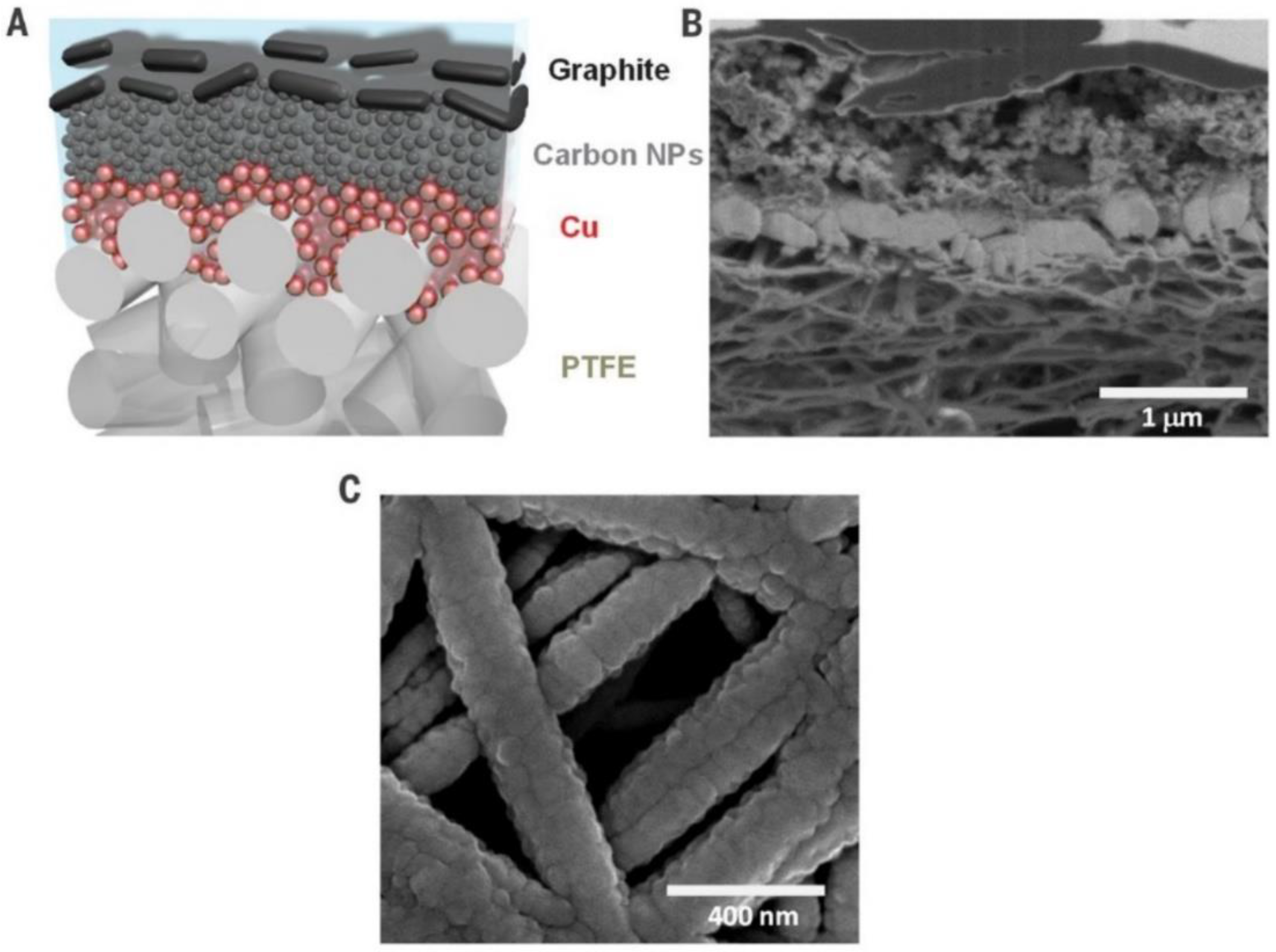 Catalysts 10 00473 g010 Catalysts 10 00473 g010
