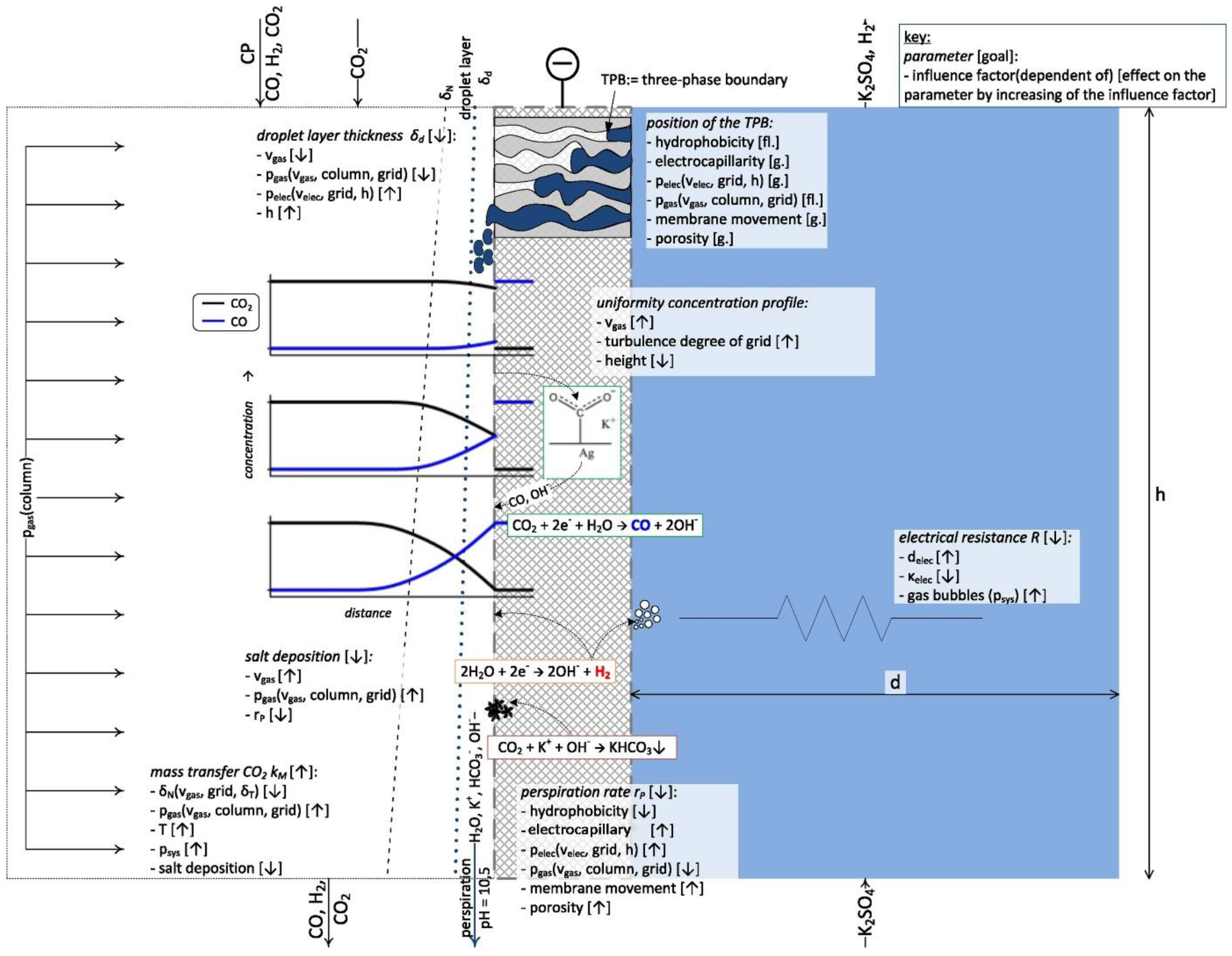 Catalysts 10 00473 g014 Catalysts 10 00473 g014