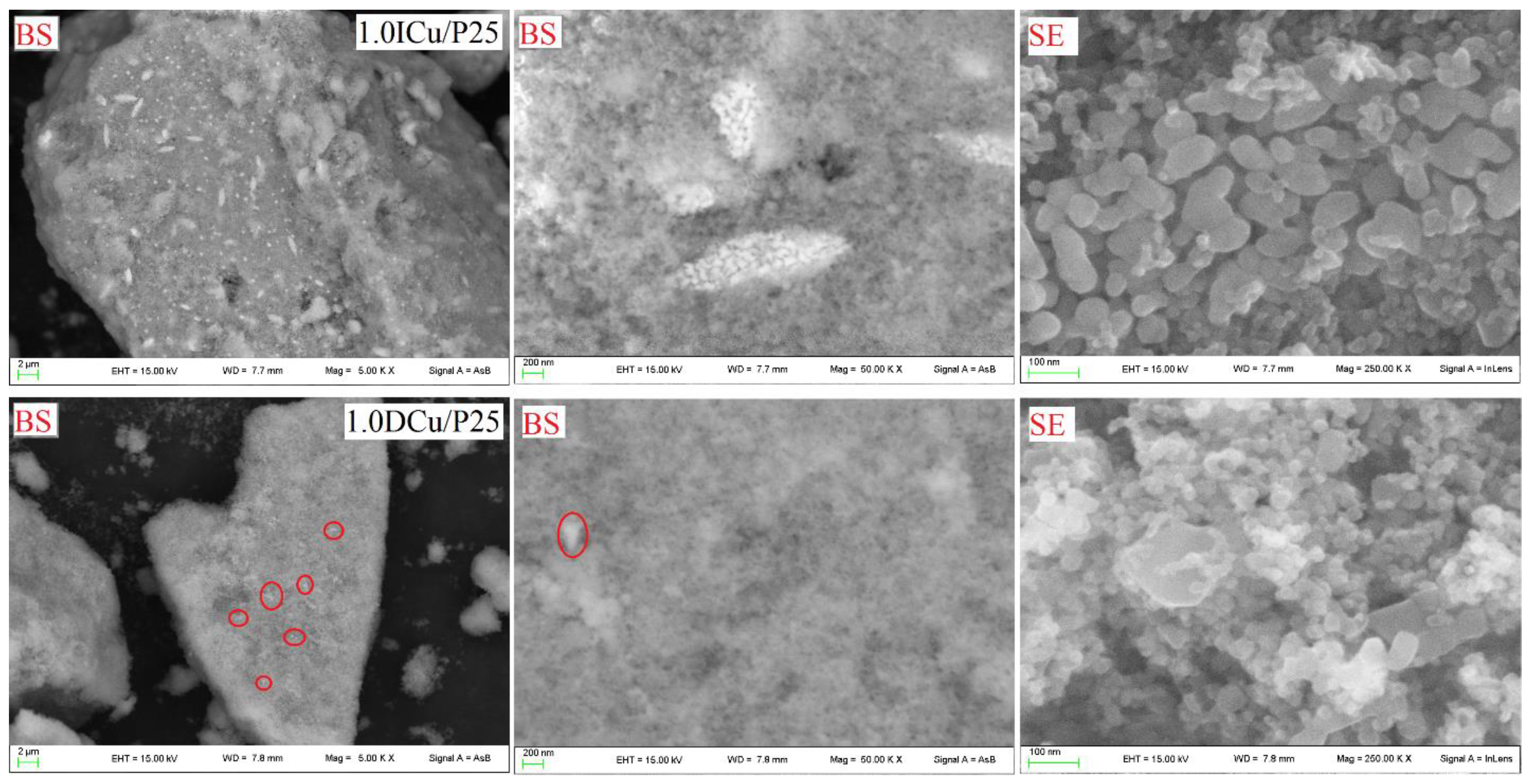 Catalysts 10 00477 g007