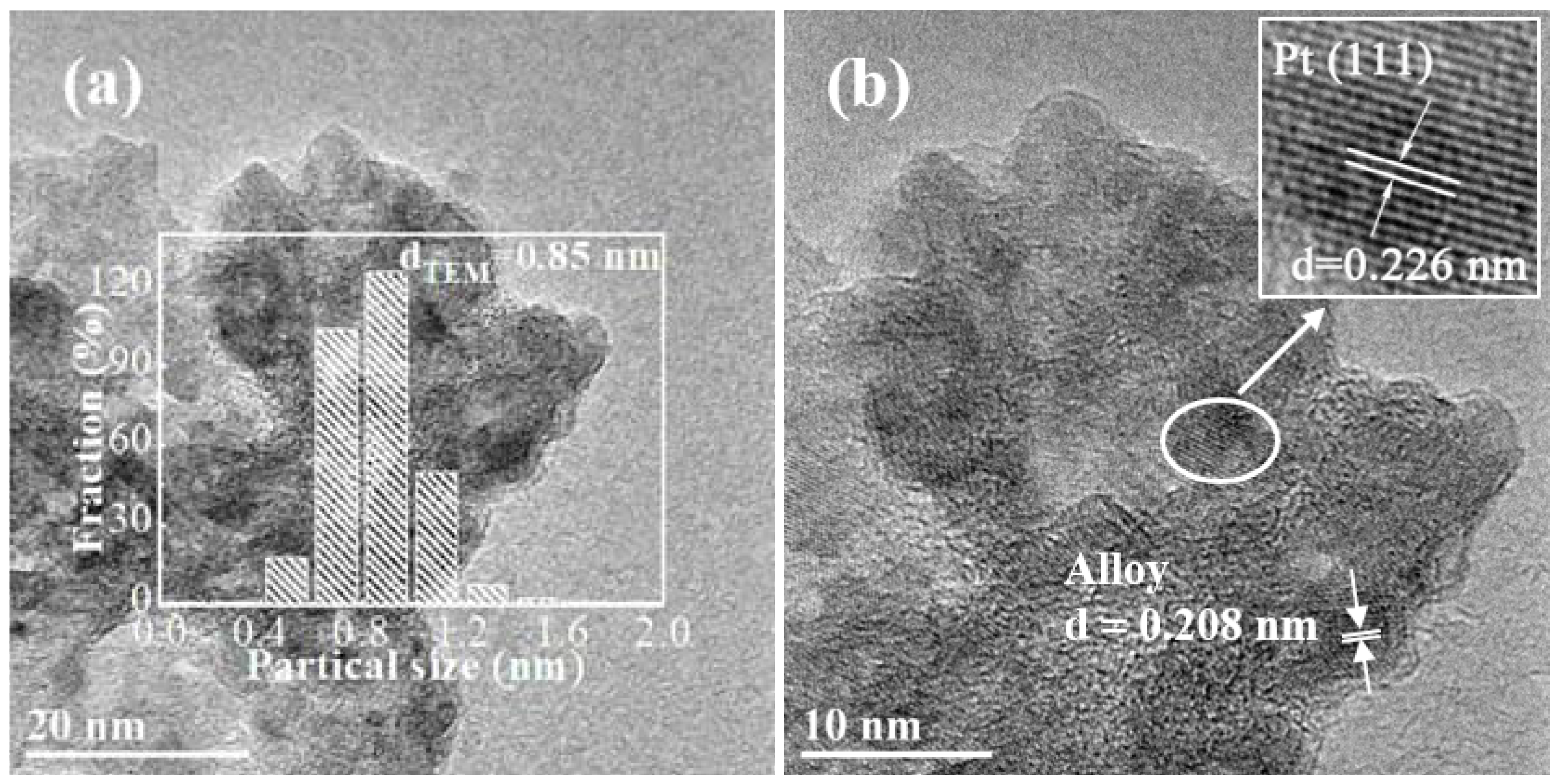 Catalysts 10 00485 g003a