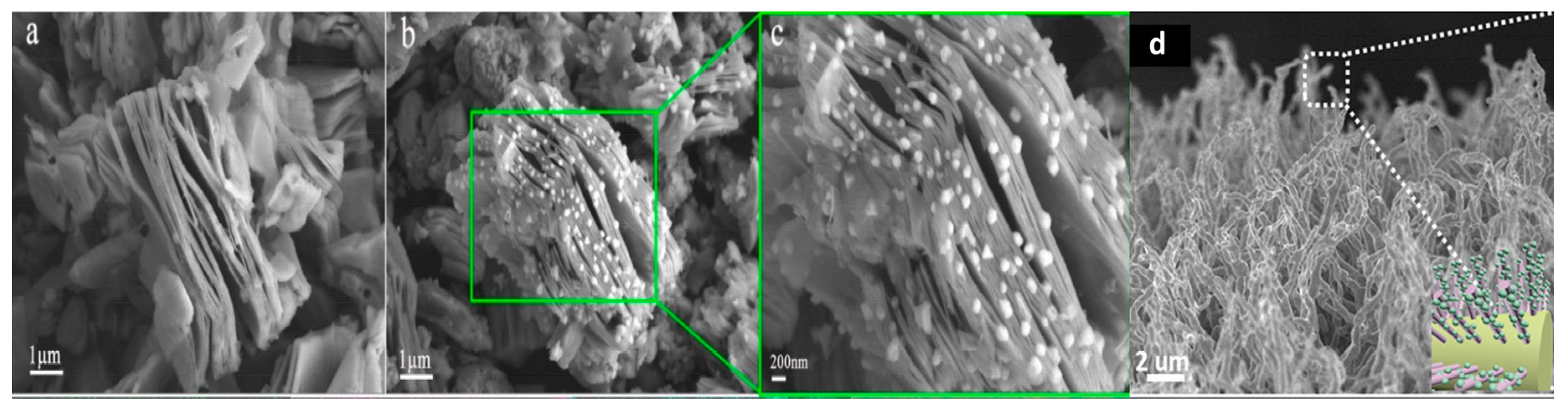 Catalysts 10 00495 g003