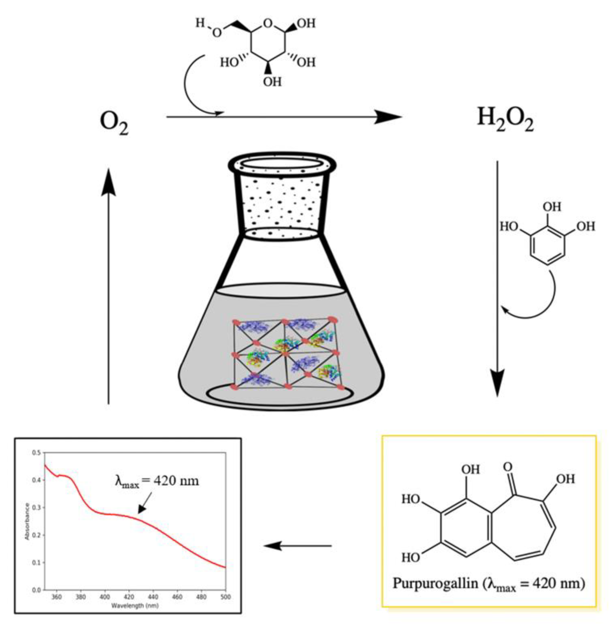 Catalysts 10 00499 g001