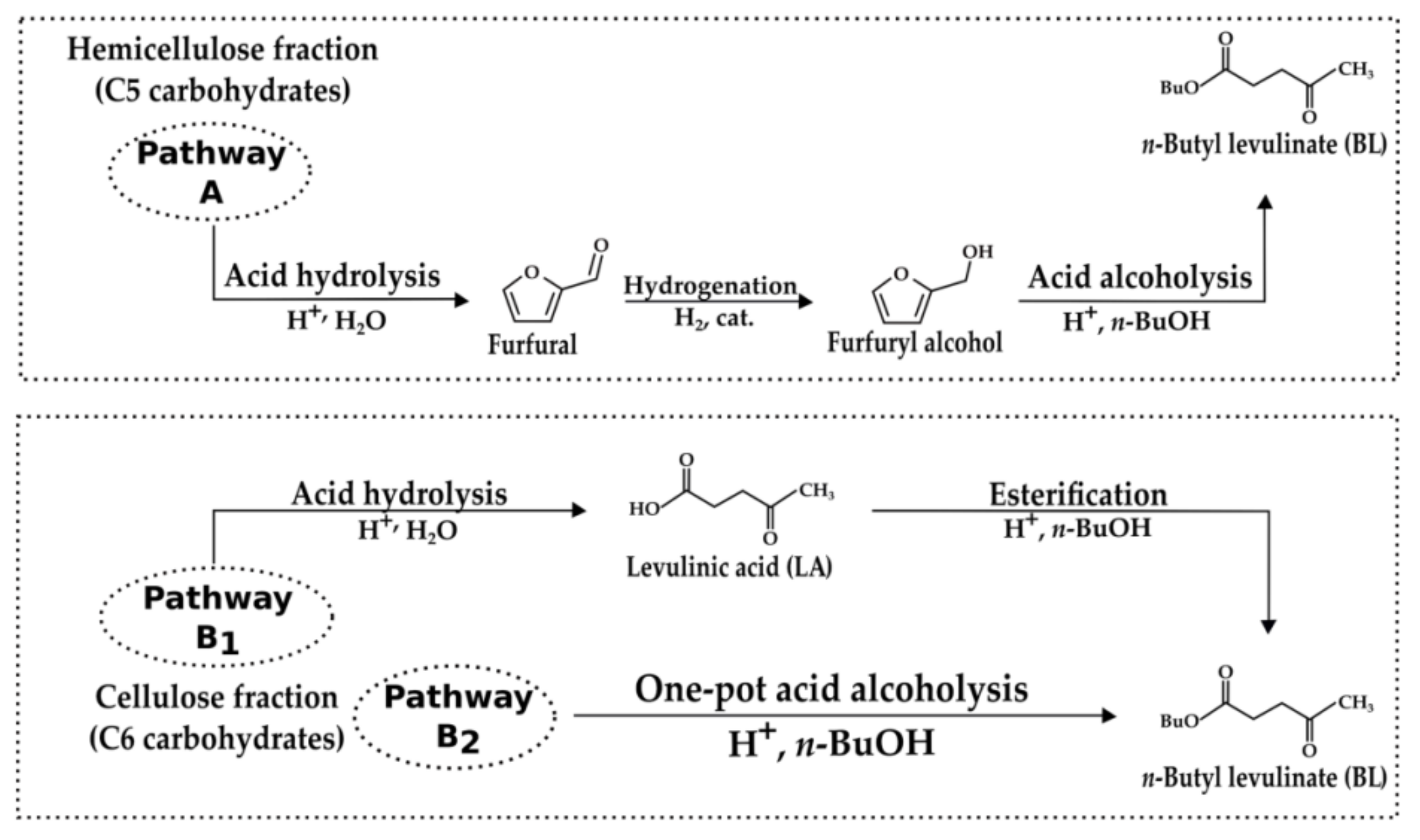 Catalysts 10 00509 g001
