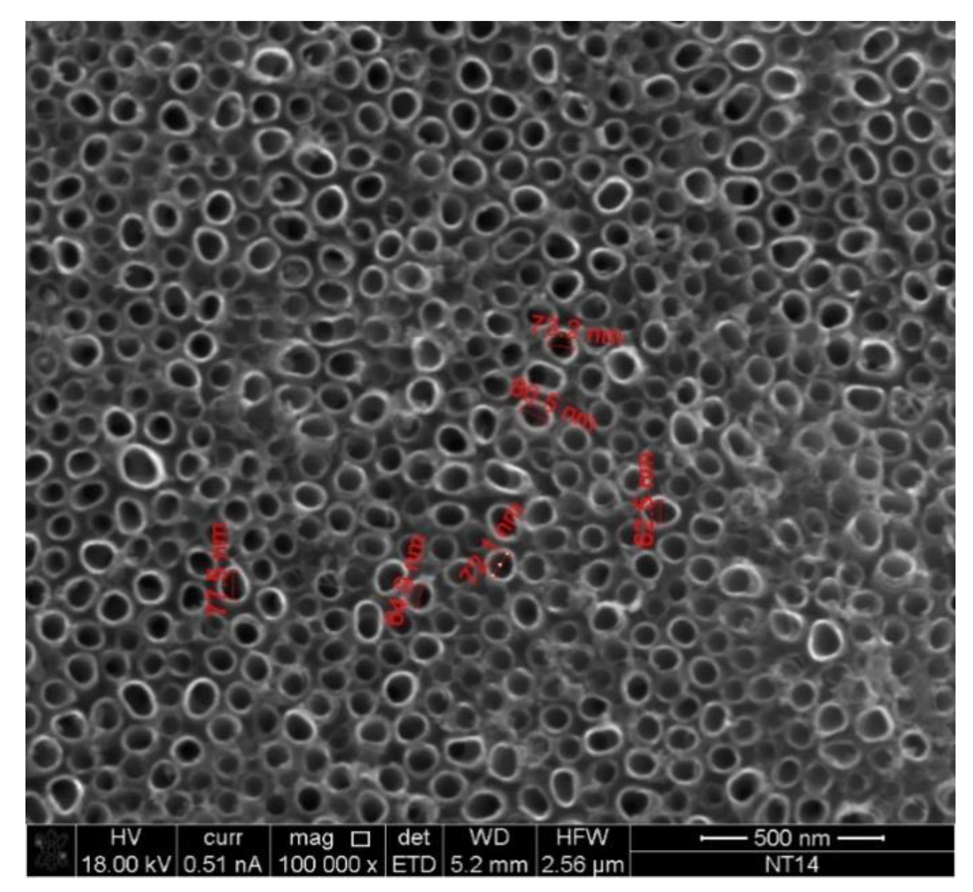 Catalysts 10 00512 g012