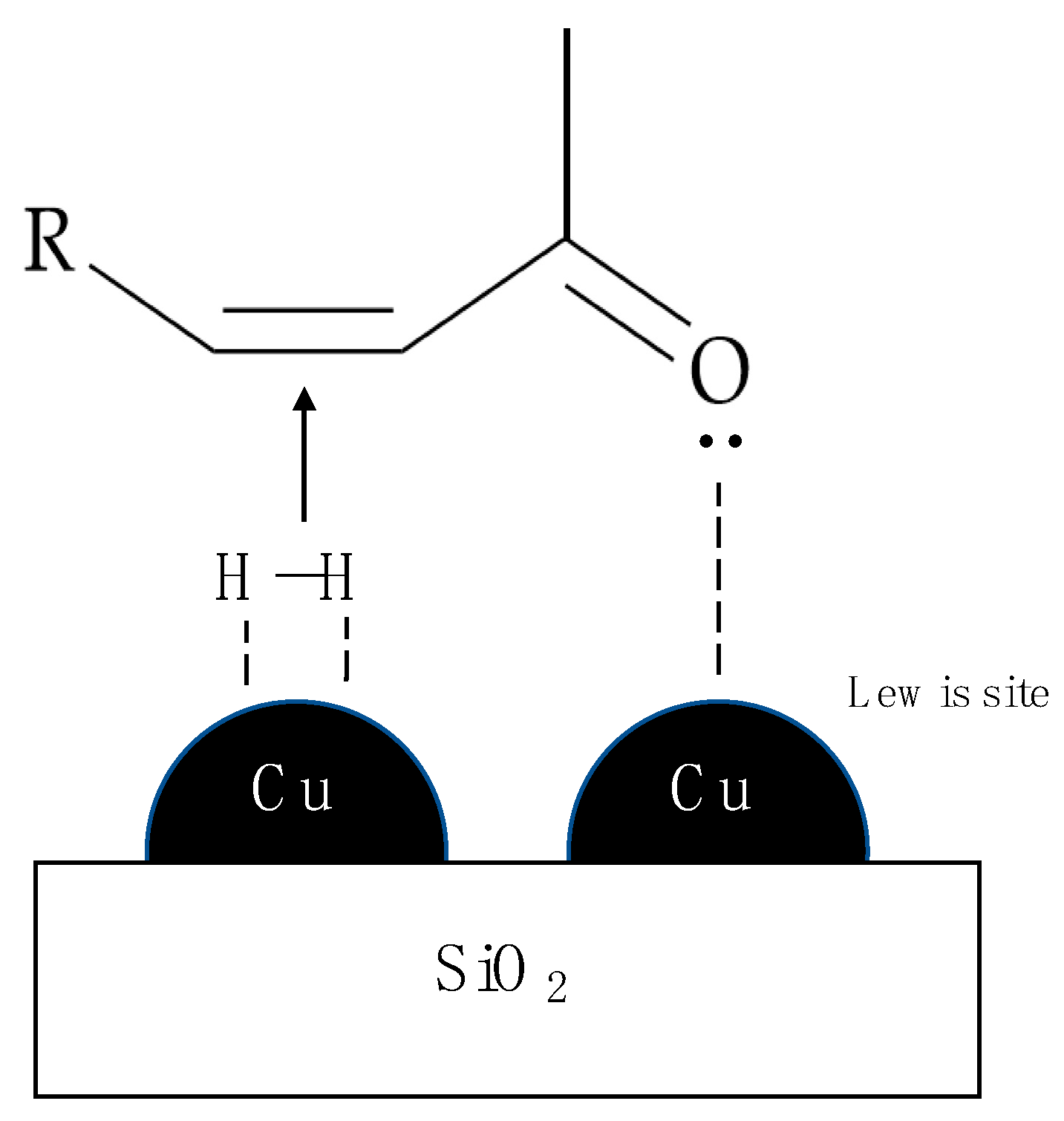 Catalysts 10 00515 g002