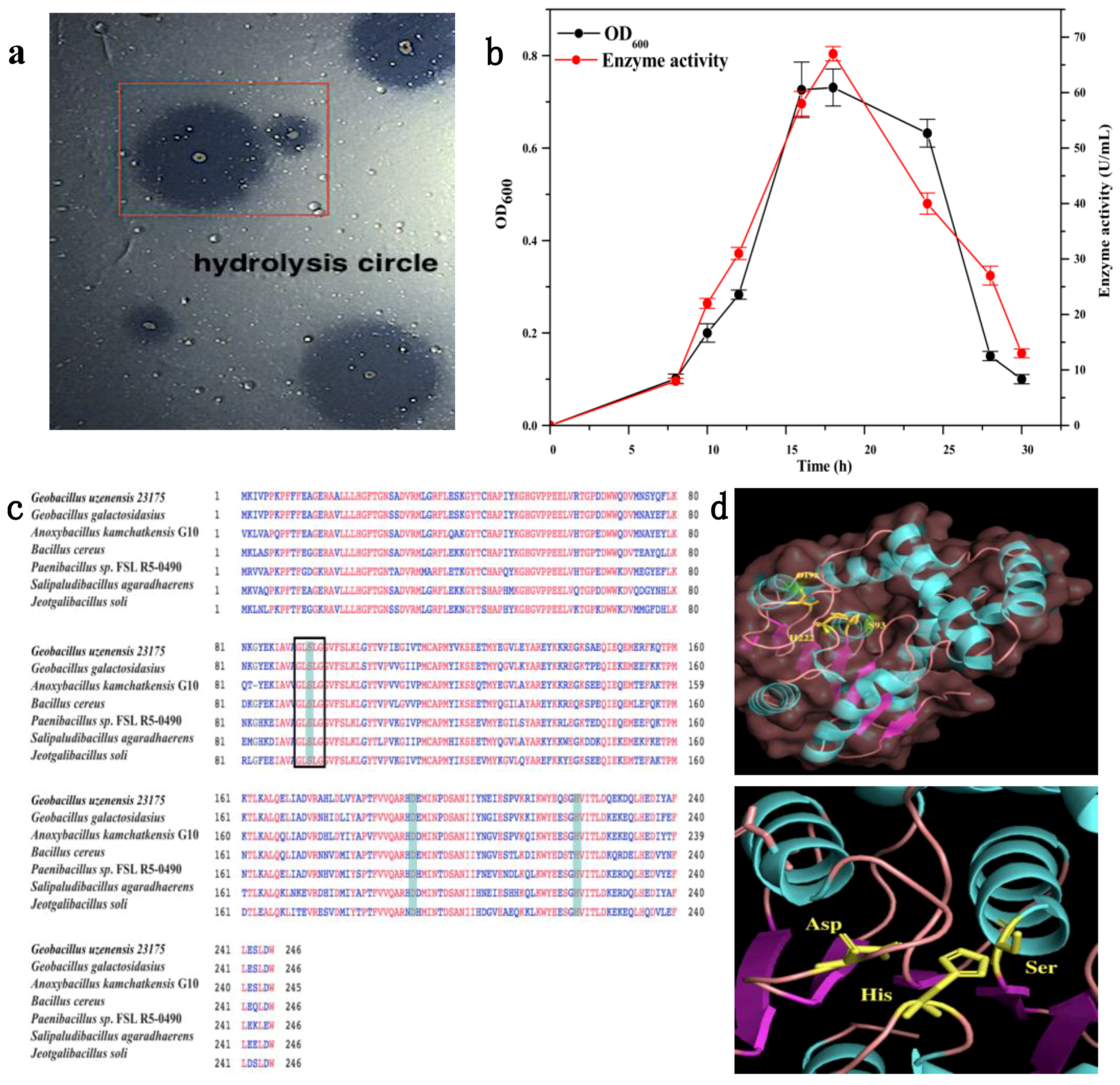 Catalysts 10 00518 g001 Catalysts 10 00518 g001