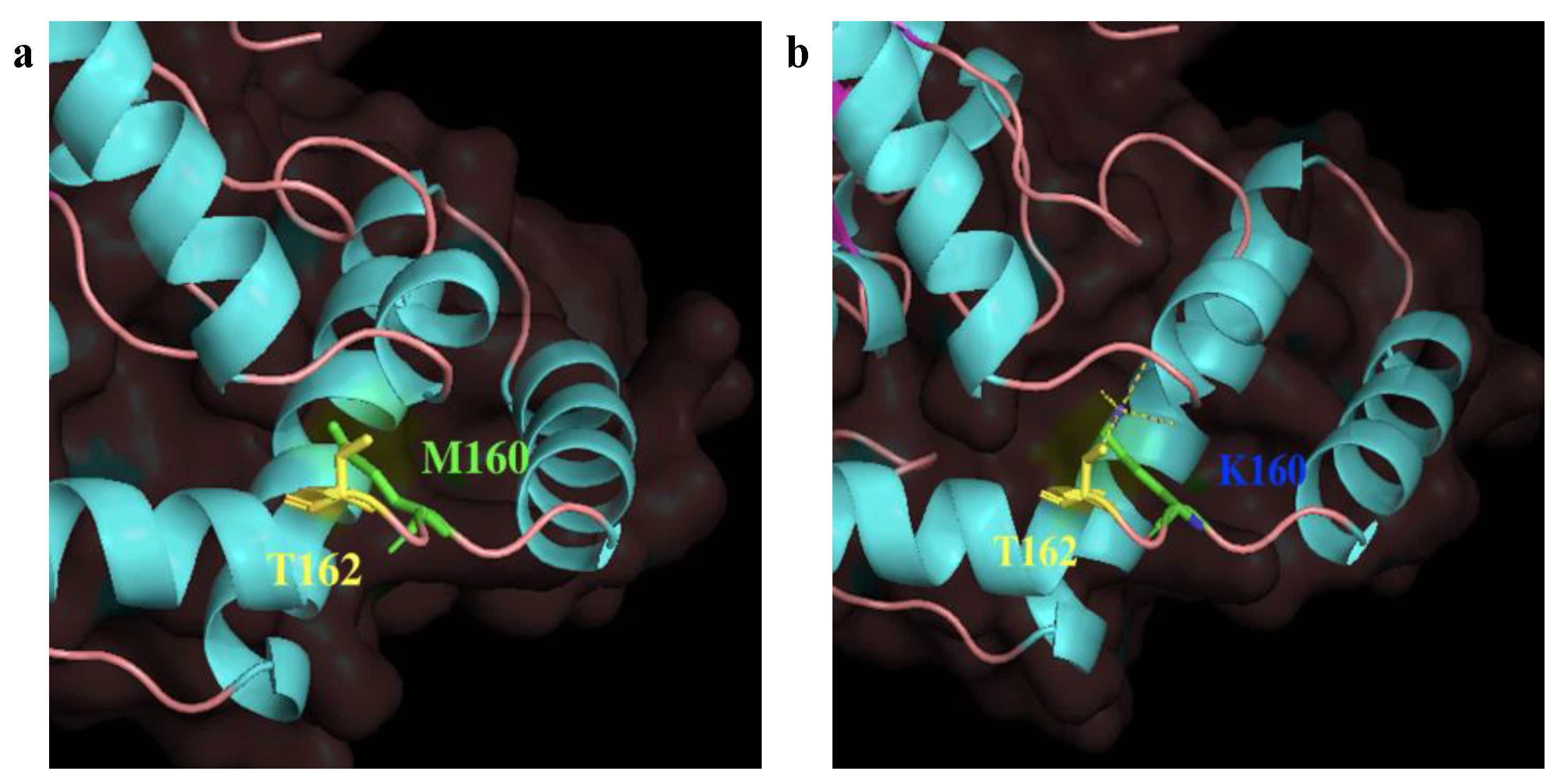 Catalysts 10 00518 g003 Catalysts 10 00518 g003