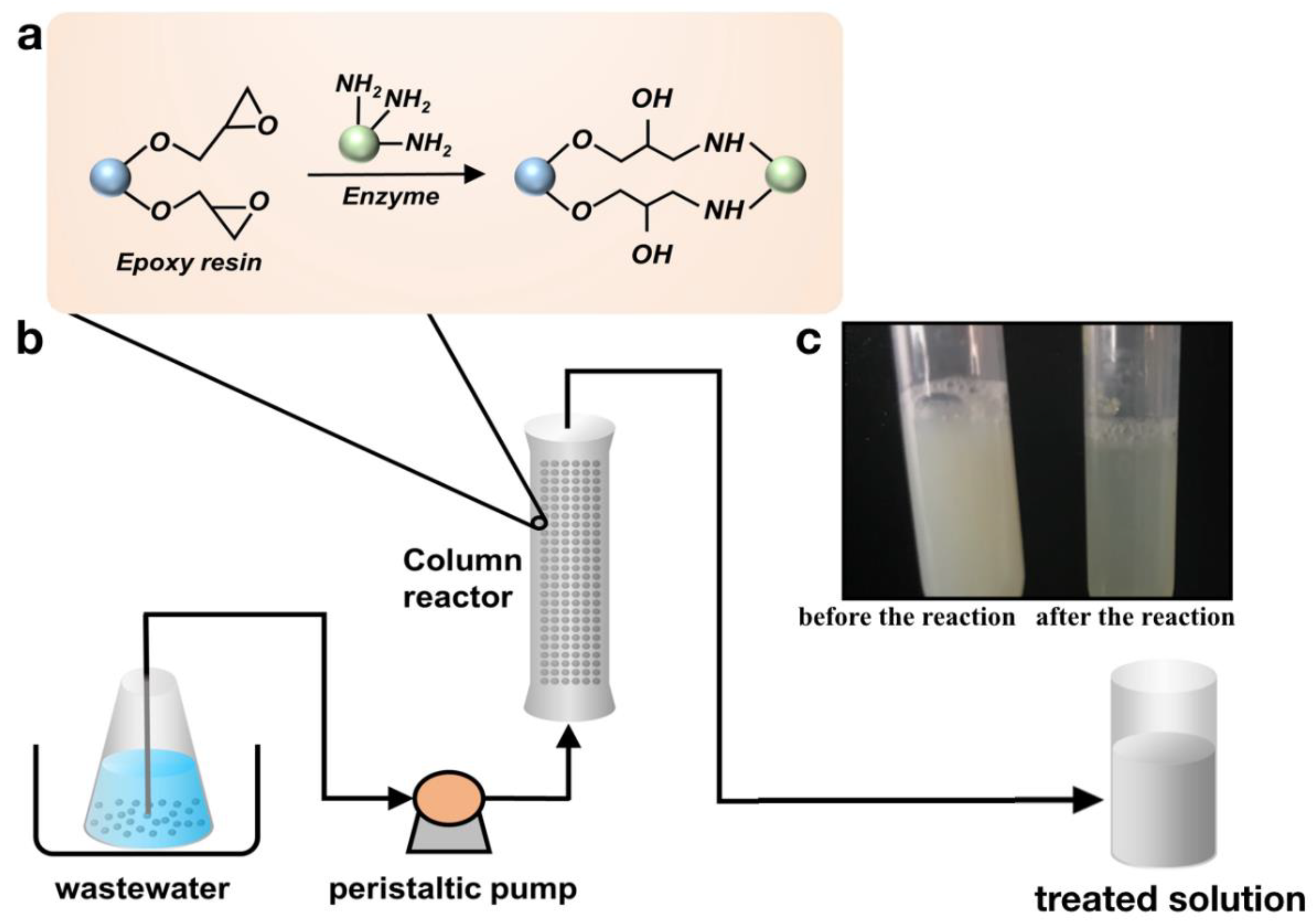 Catalysts 10 00518 g005 Catalysts 10 00518 g005