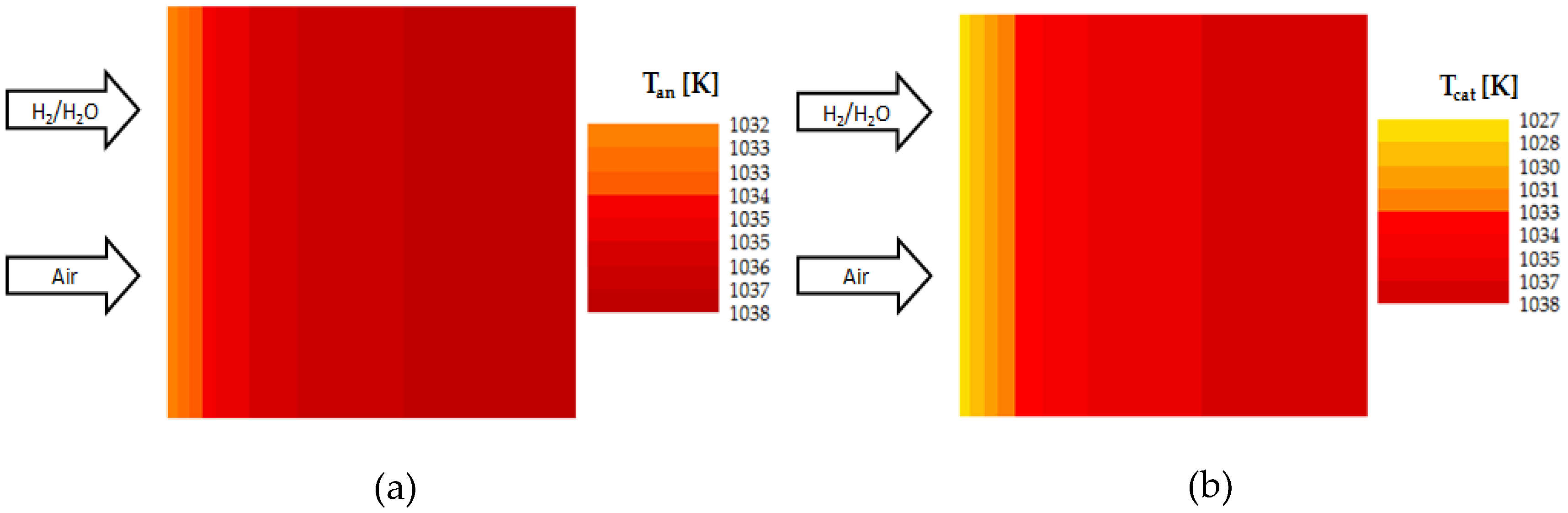 Catalysts 10 00519 g006