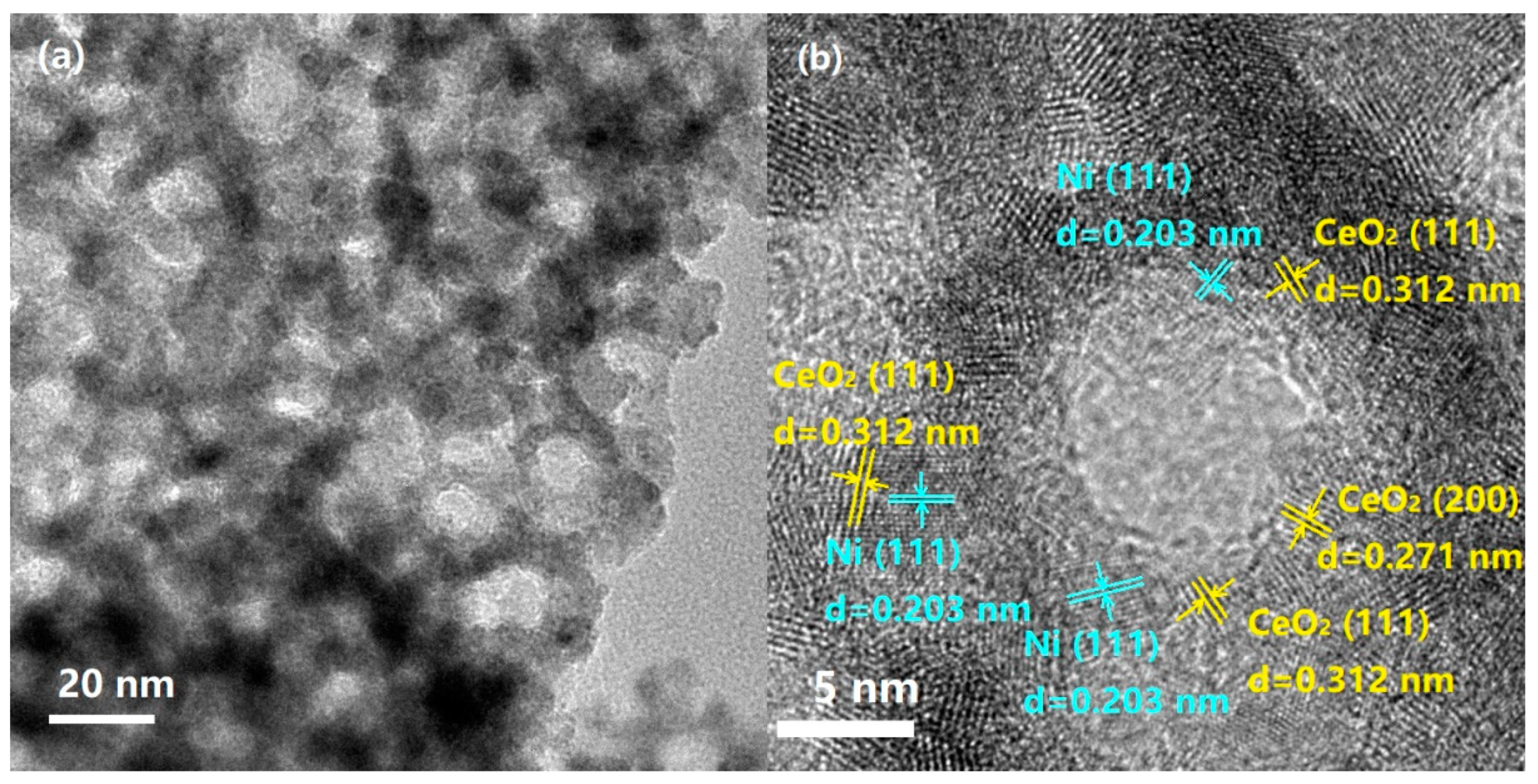 Catalysts 10 00523 g008a