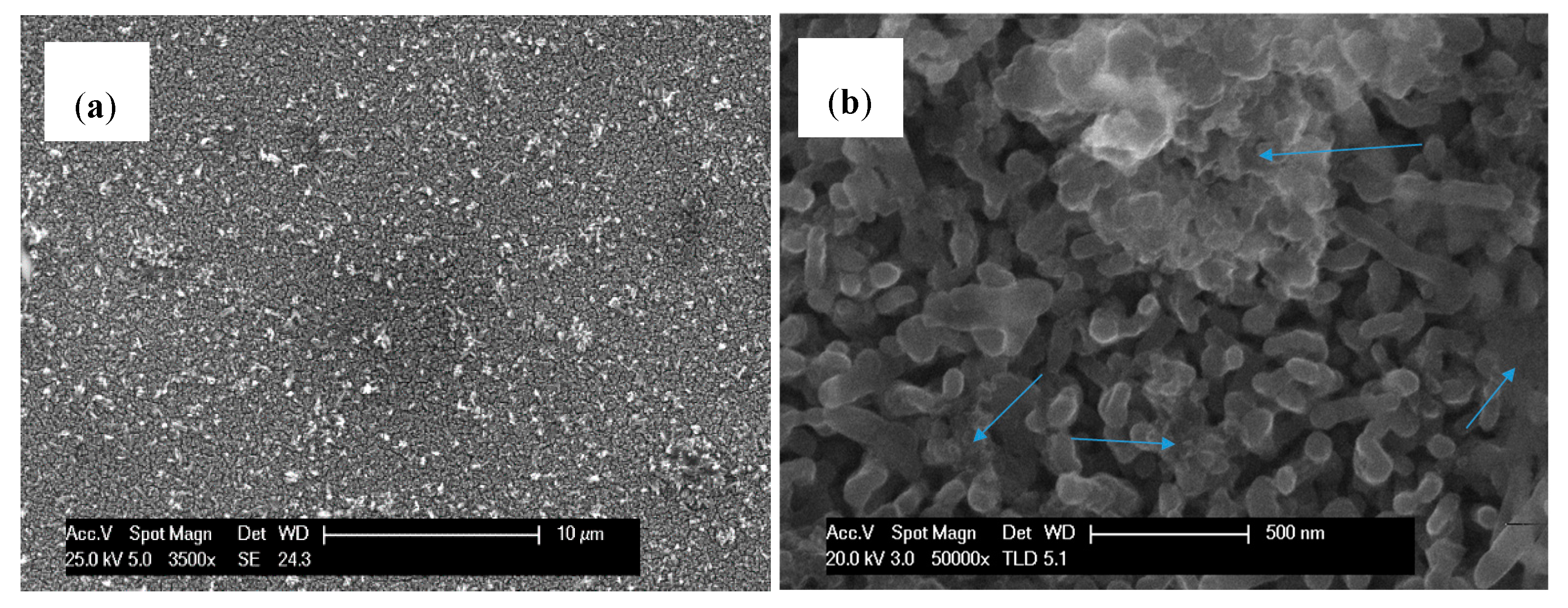 Catalysts 10 00525 g006