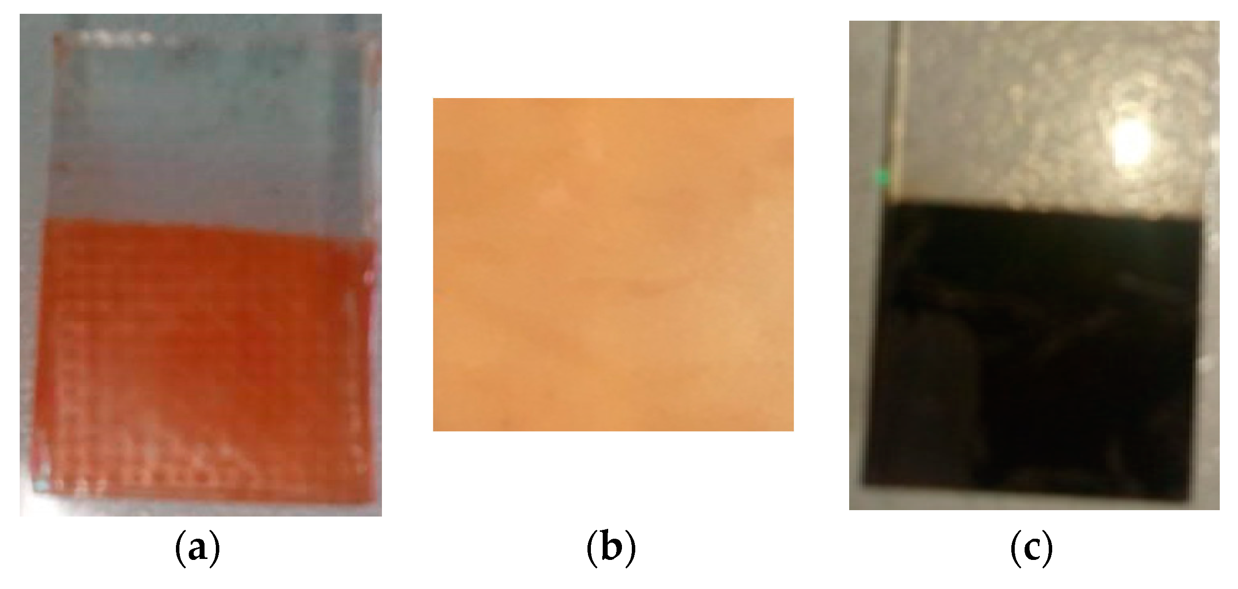 Catalysts 10 00525 g007