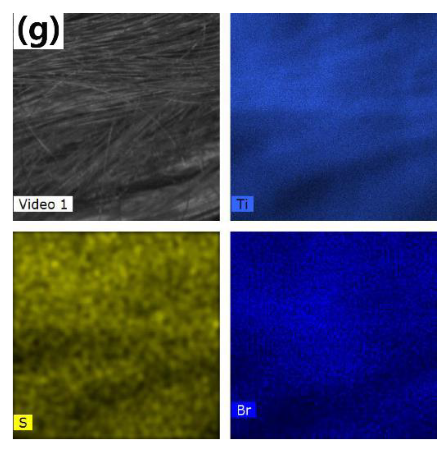 Catalysts 10 00531 g001b Catalysts 10 00531 g001b