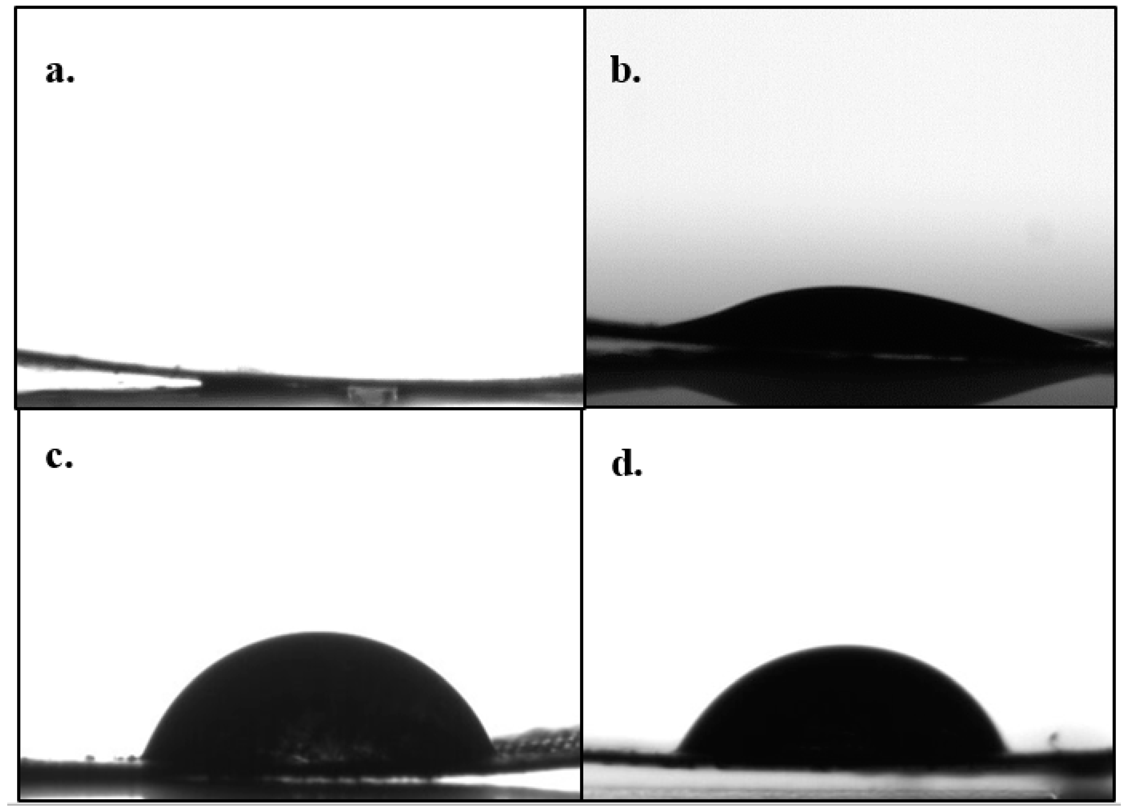 Catalysts 10 00534 g003