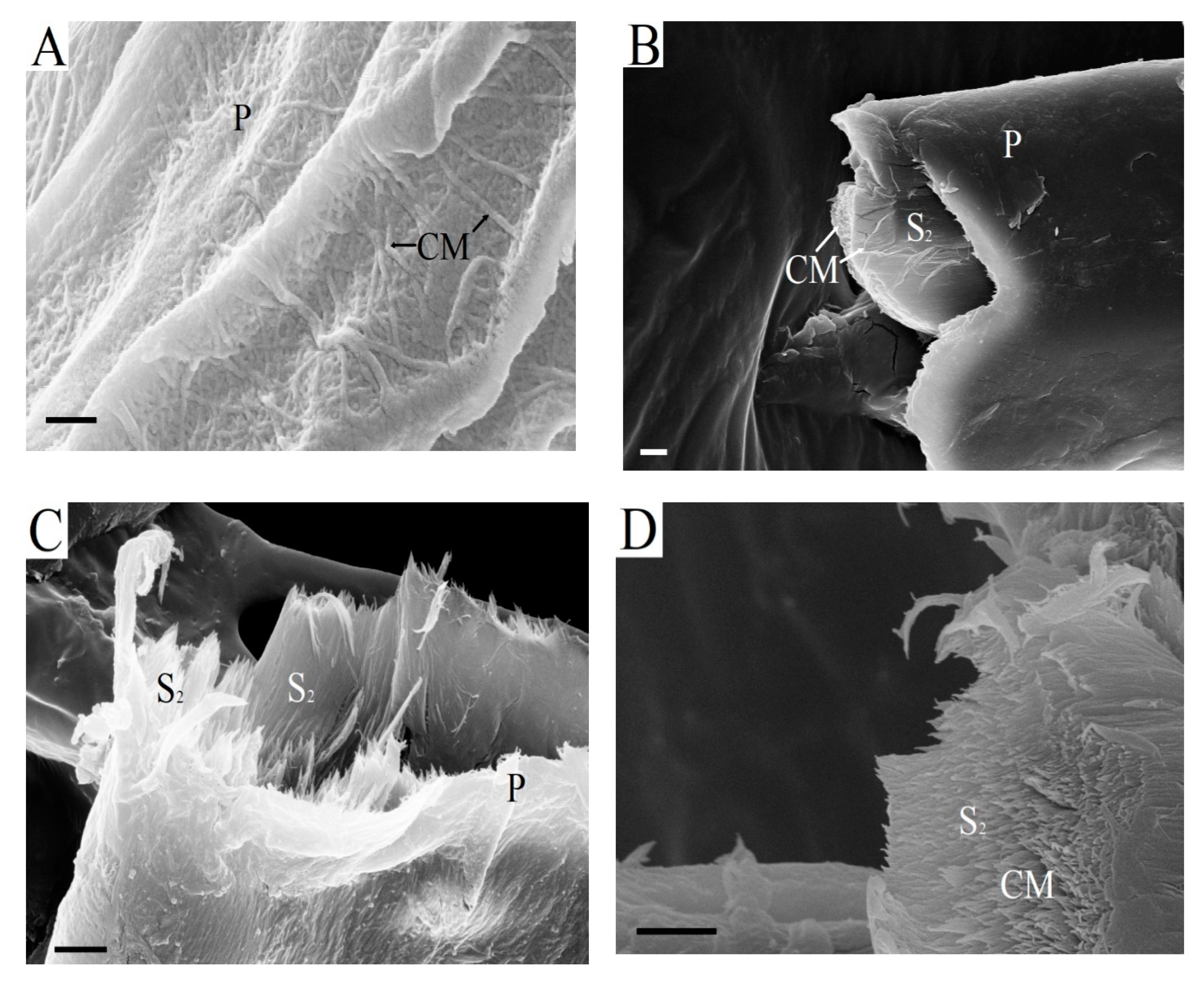 Catalysts 10 00536 g007a