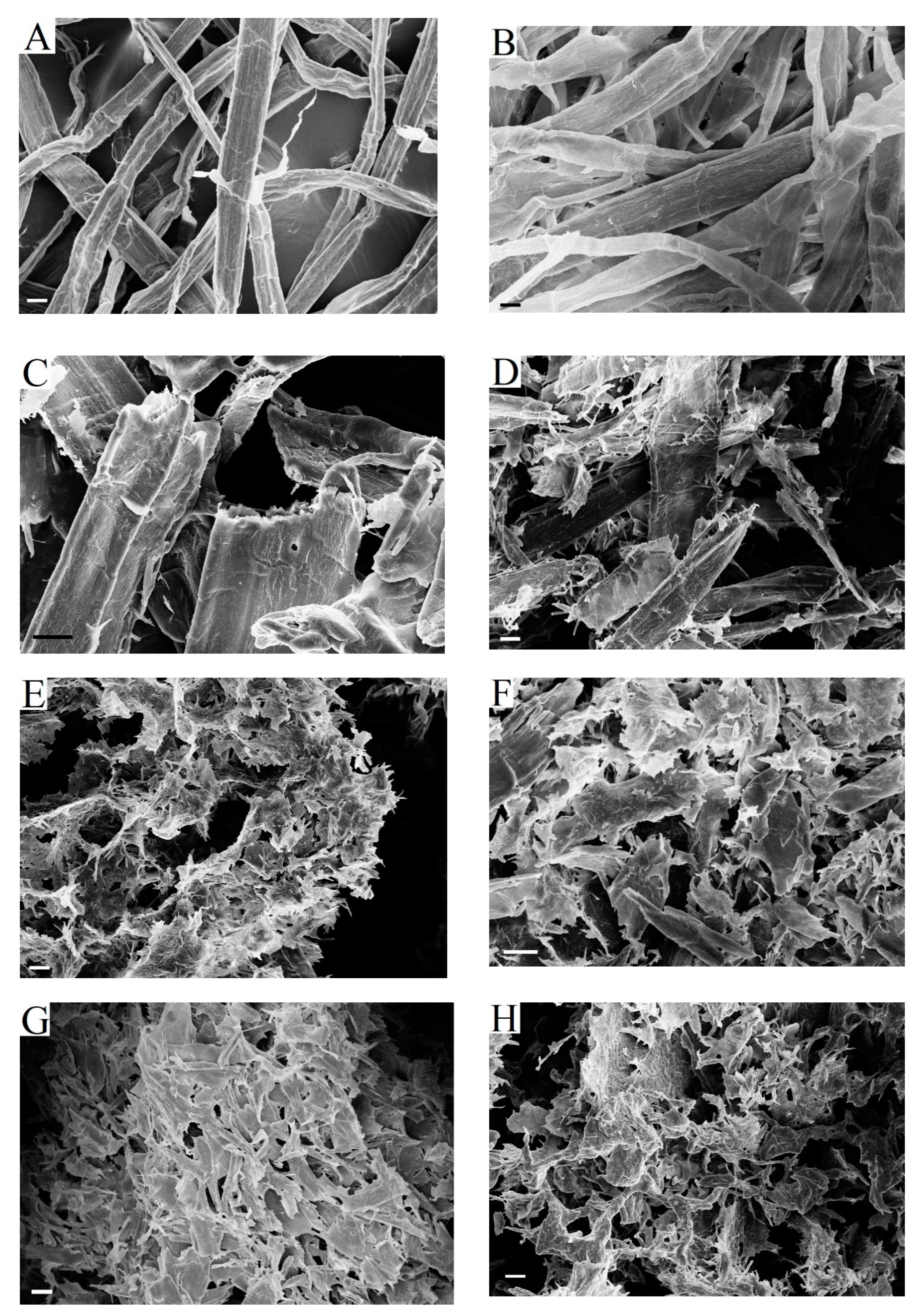 Catalysts 10 00536 g008