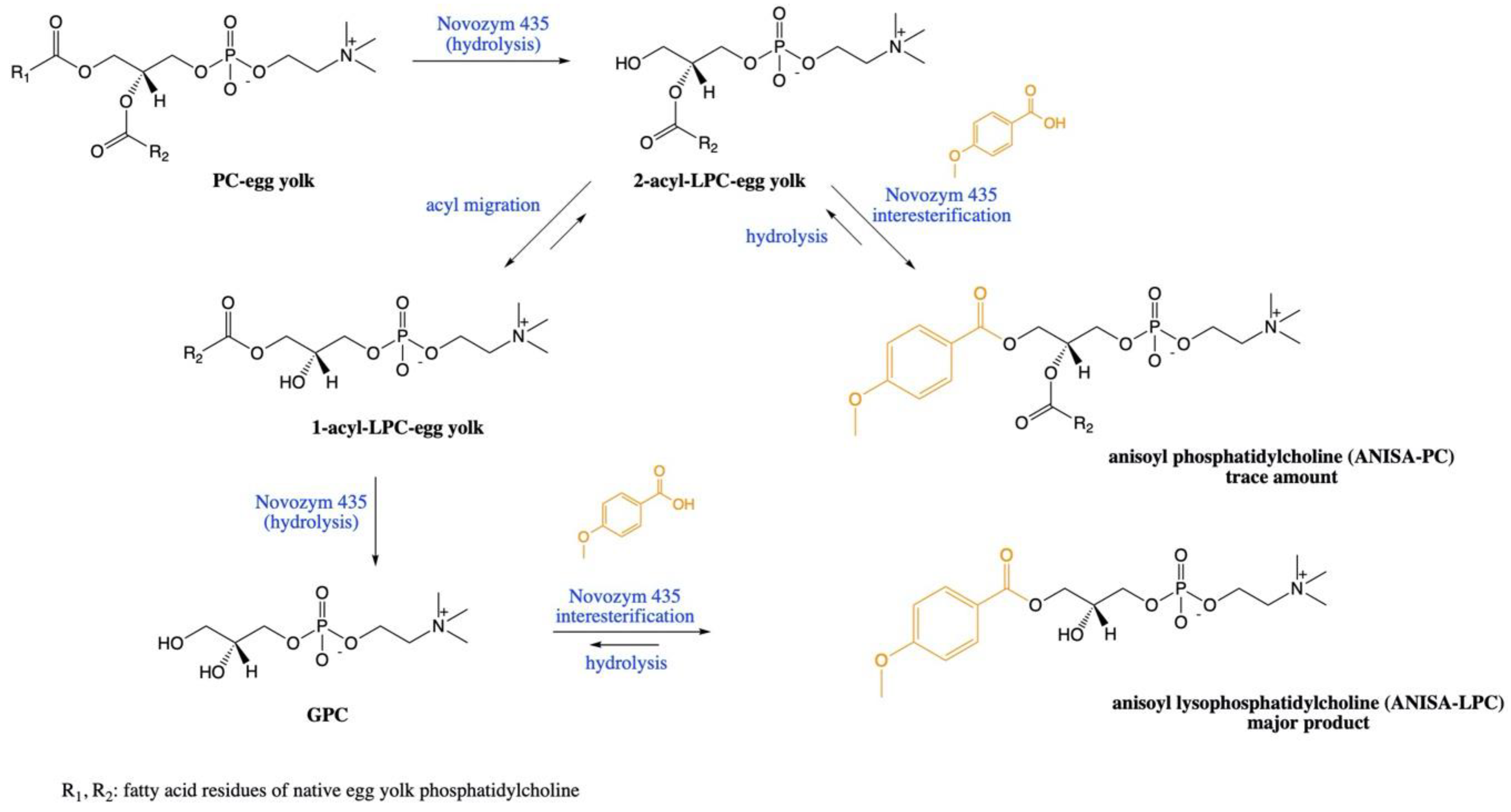 Catalysts 10 00538 sch001