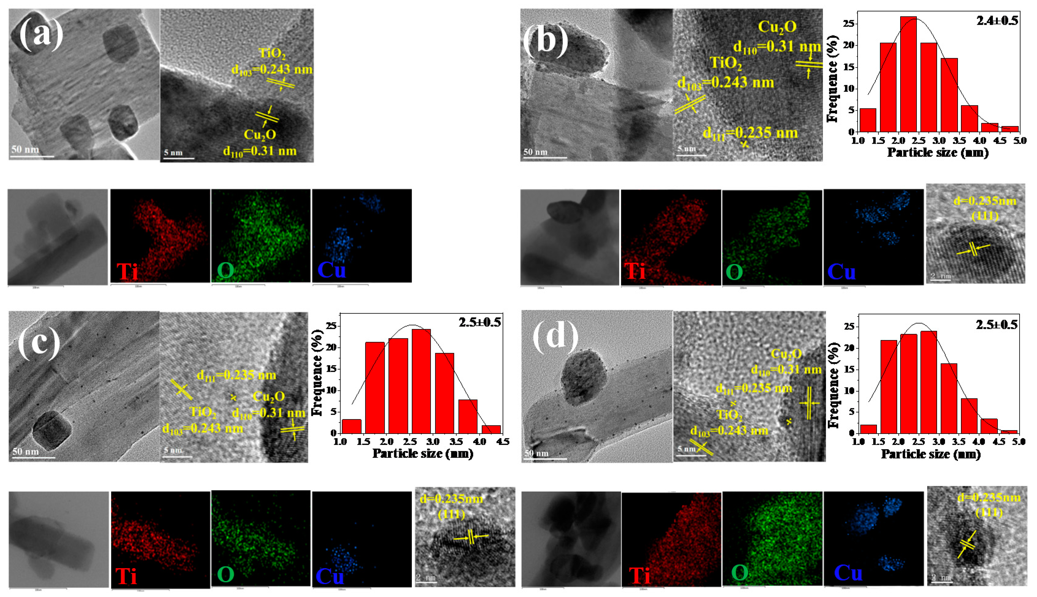 Catalysts 10 00539 g001