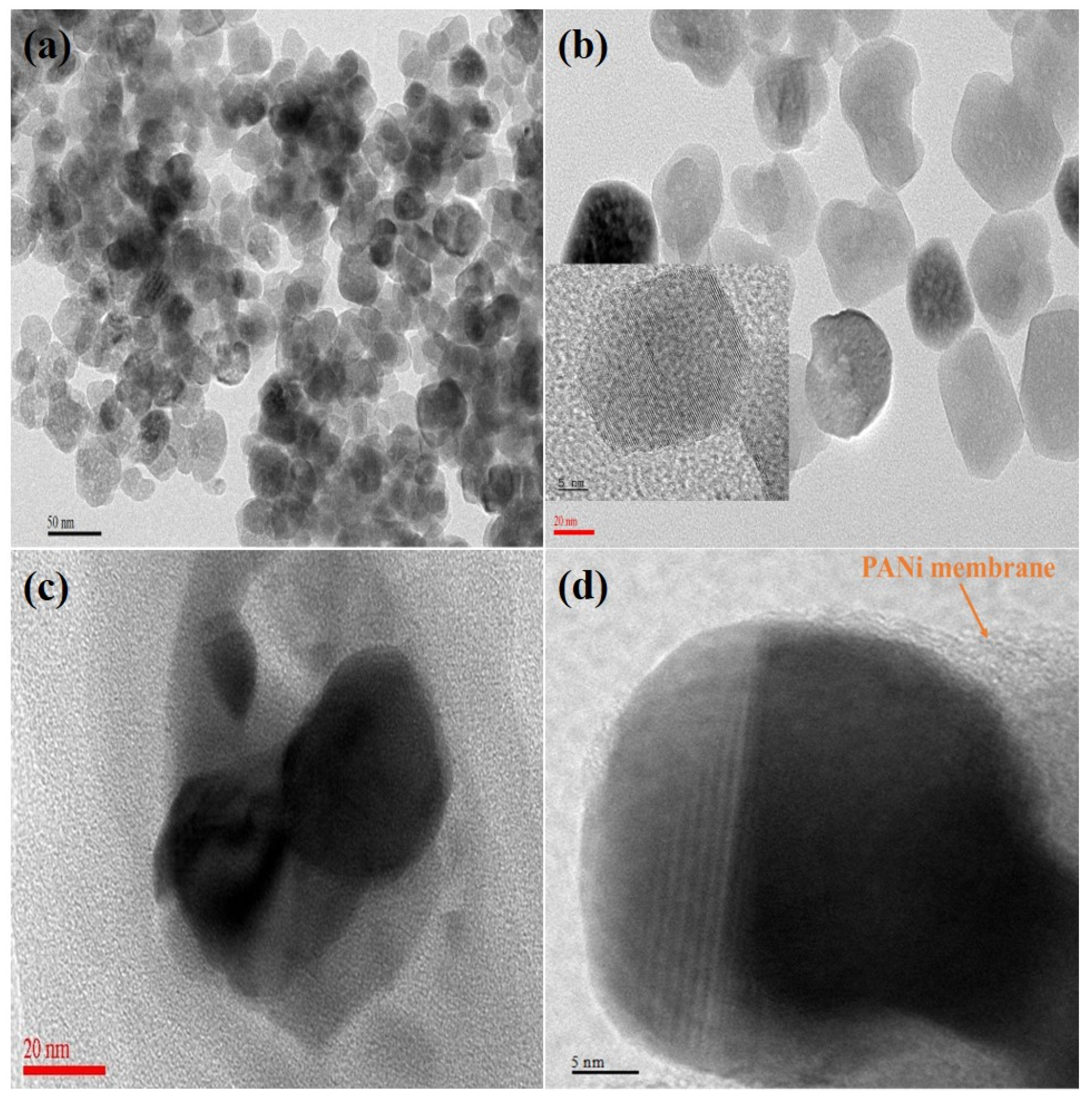 Catalysts 10 00546 g002