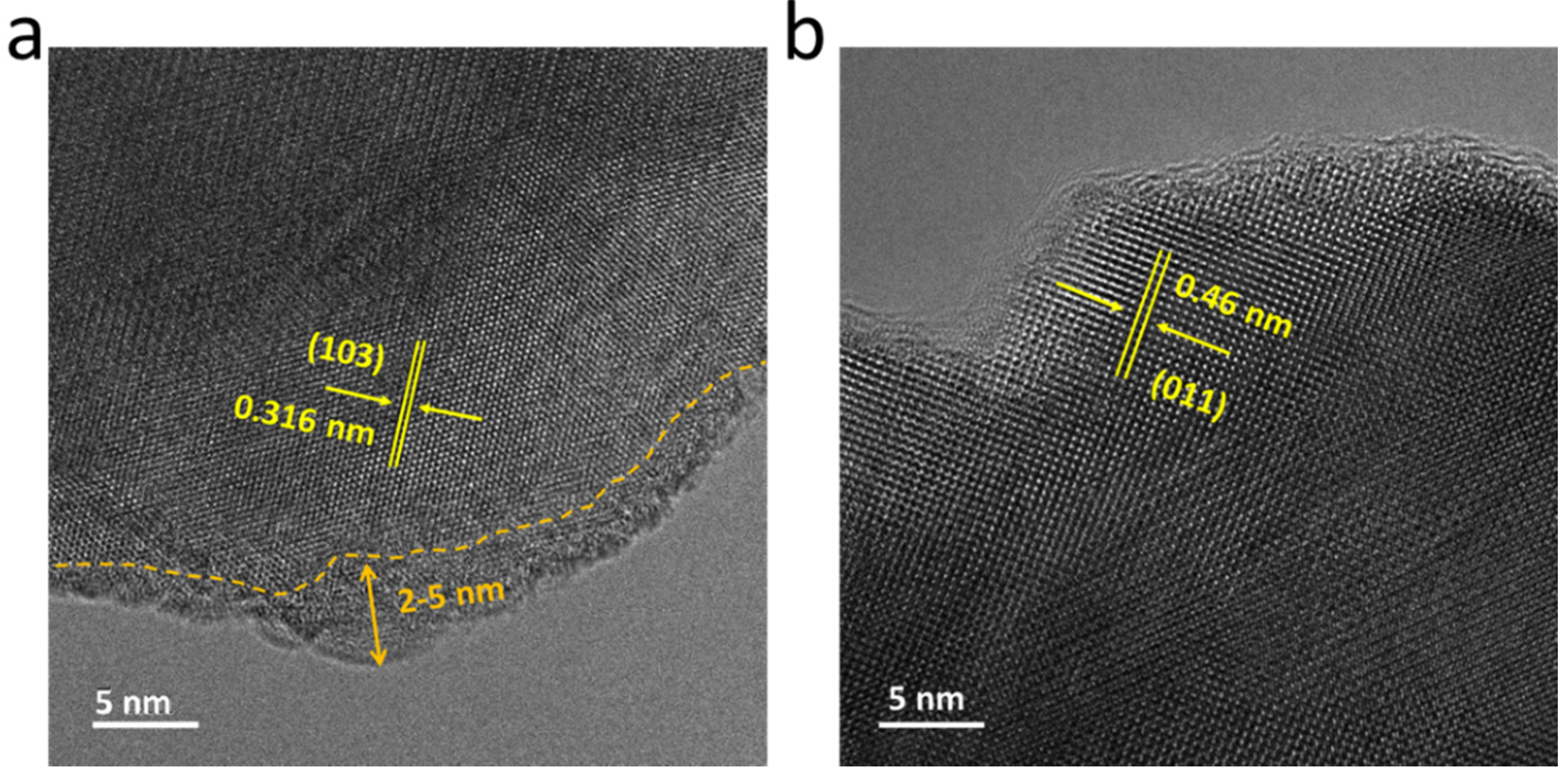Catalysts 10 00556 g005