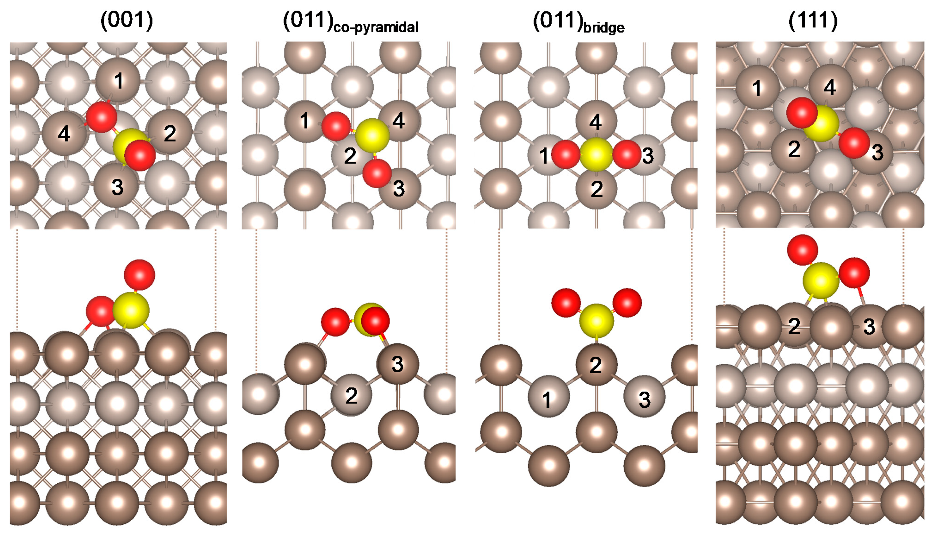 Catalysts 10 00558 g002