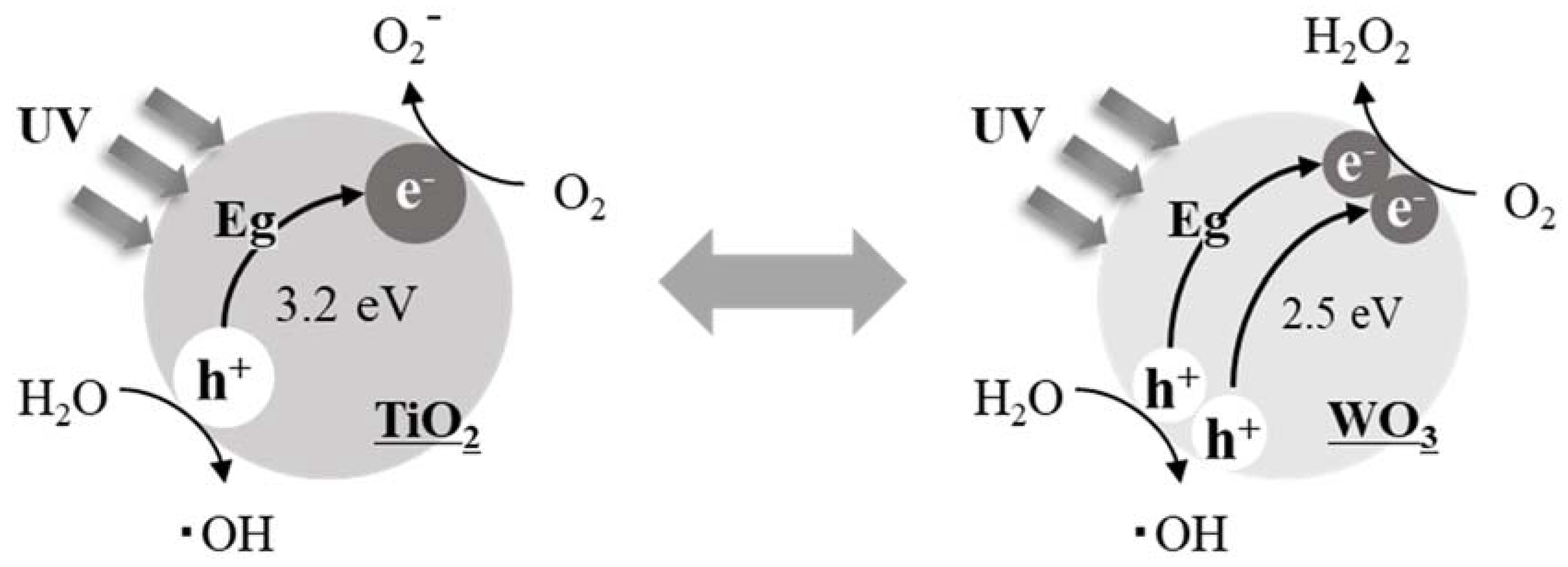Catalysts 10 00559 sch002