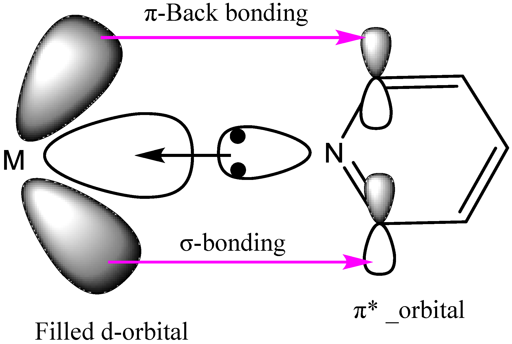 Catalysts 10 00569 g004