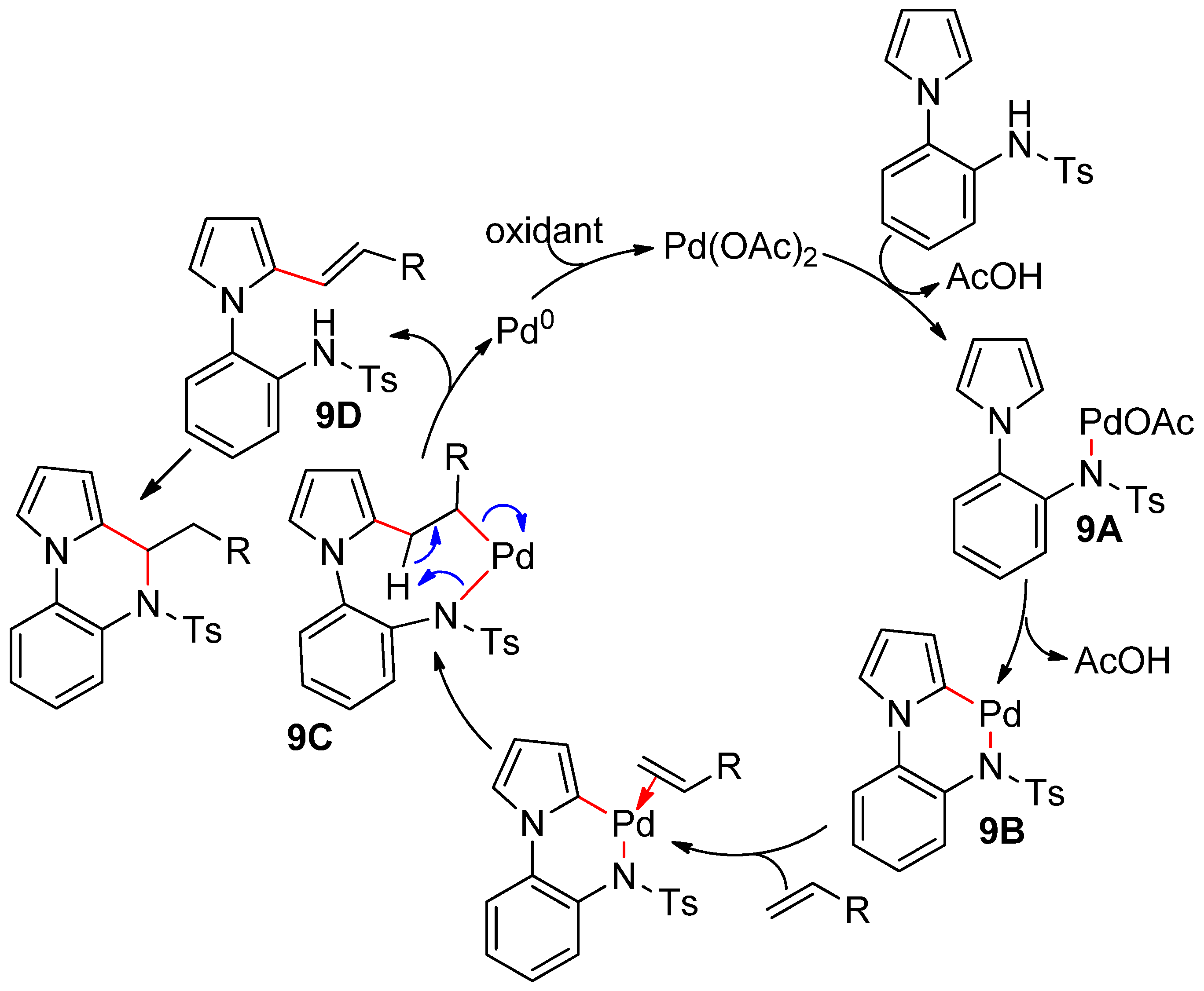 Catalysts 10 00571 sch009 Catalysts 10 00571 sch009