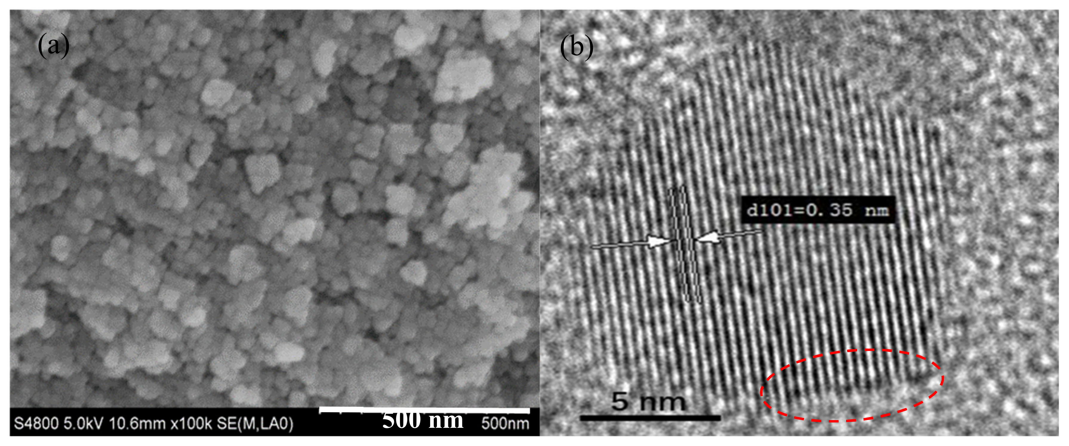 Catalysts 10 00579 g001a Catalysts 10 00579 g001a