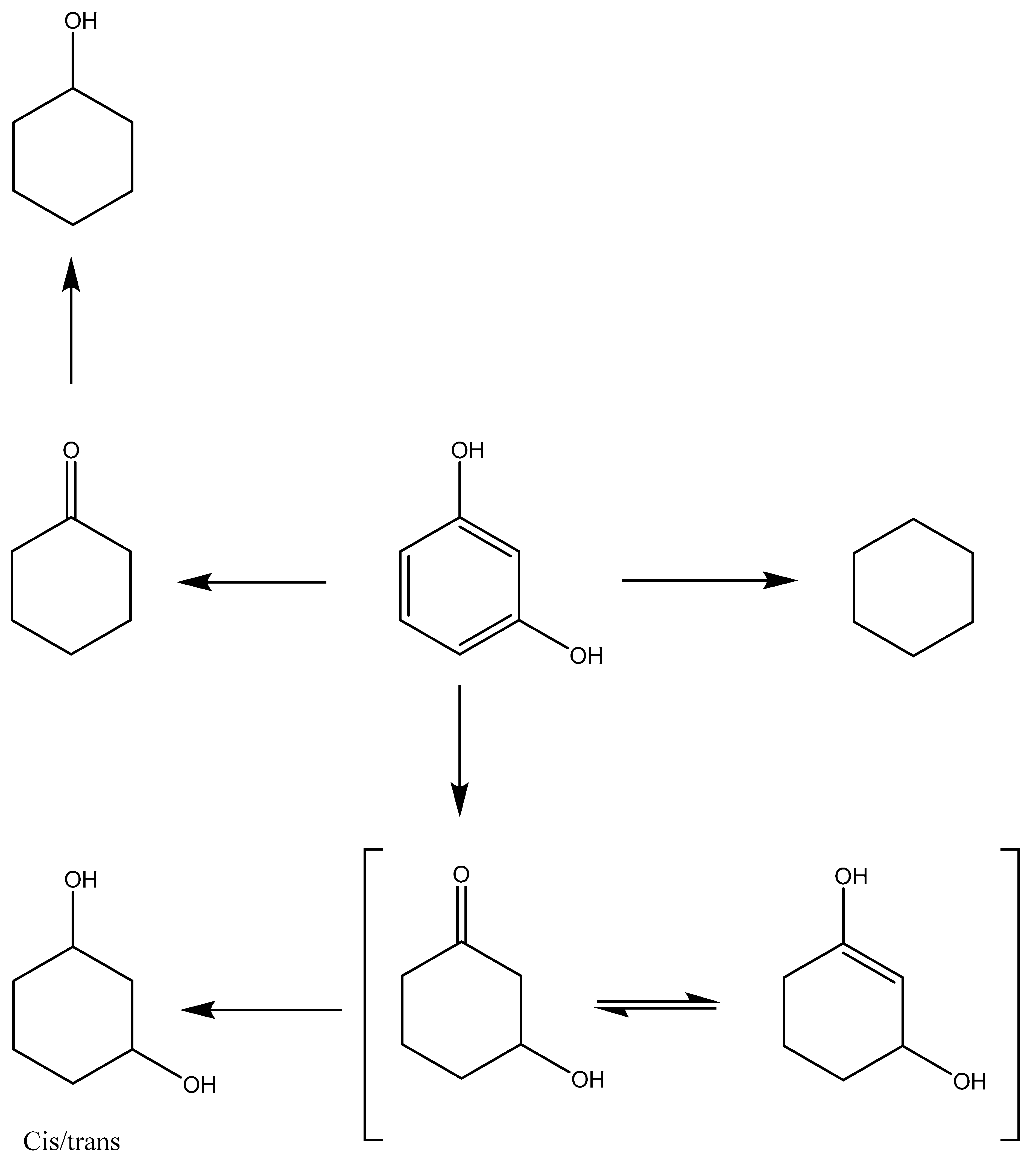 Catalysts 10 00584 g003