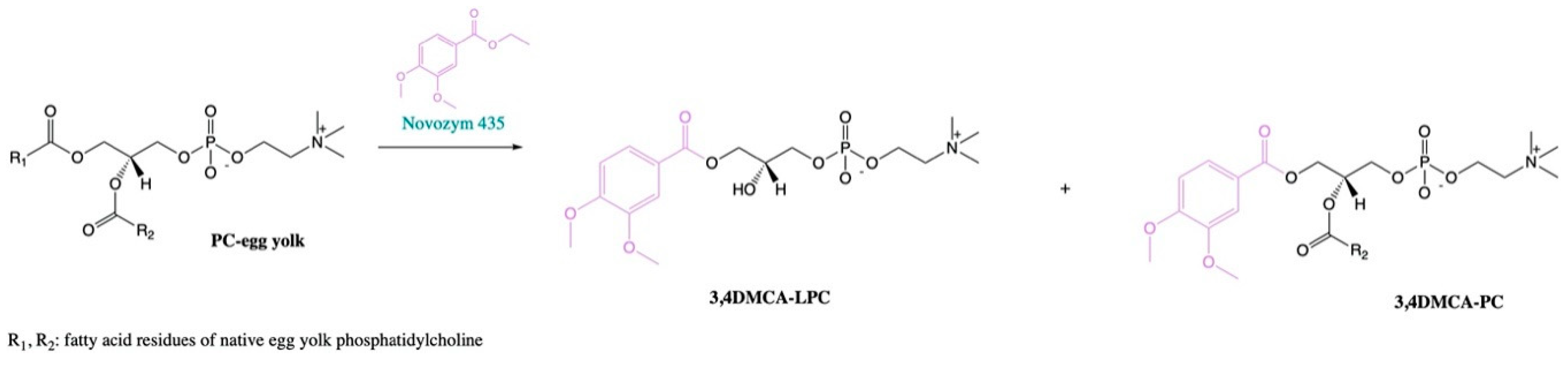 Catalysts 10 00588 g003 Catalysts 10 00588 g003