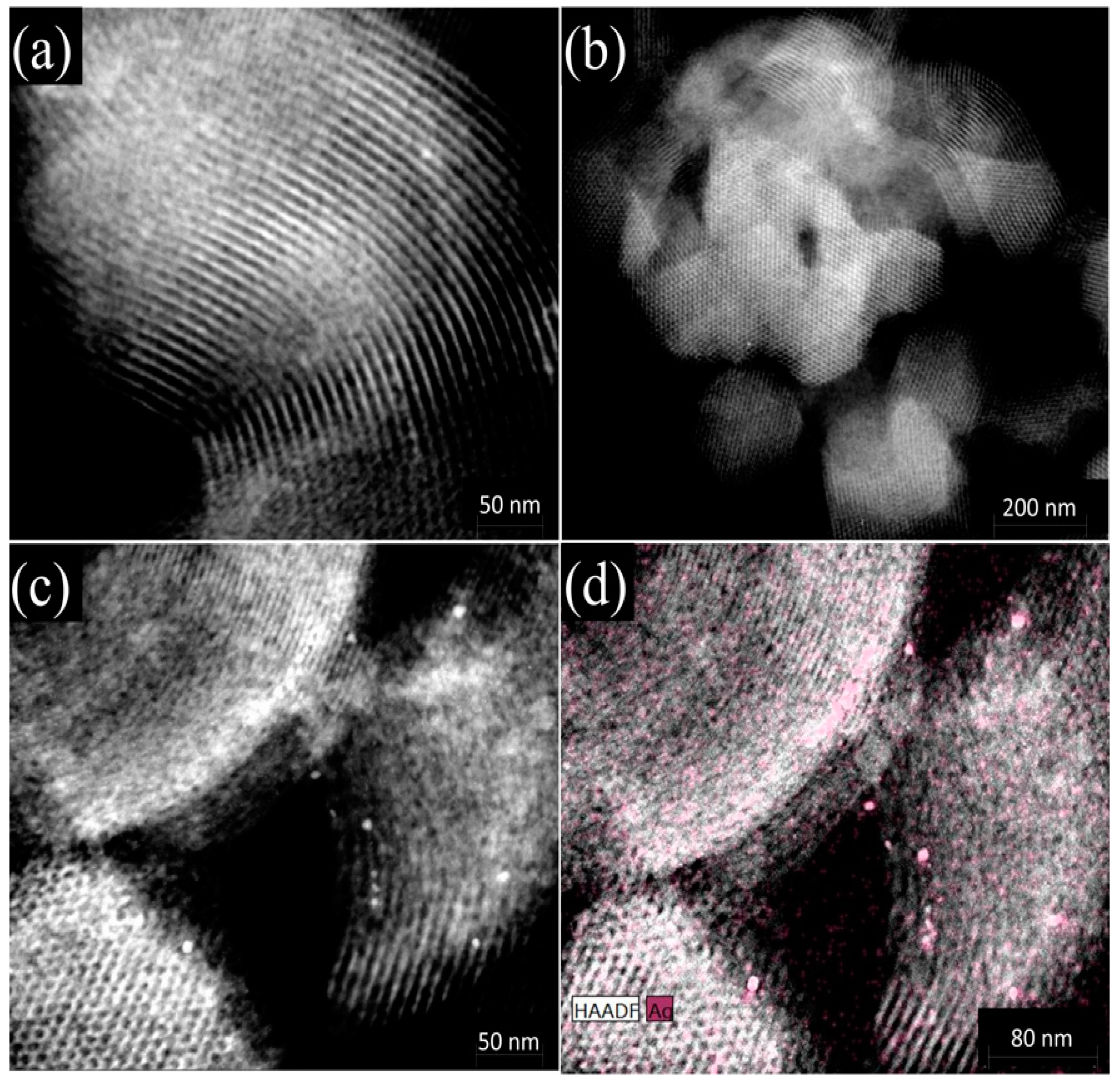 Catalysts 10 00593 g003