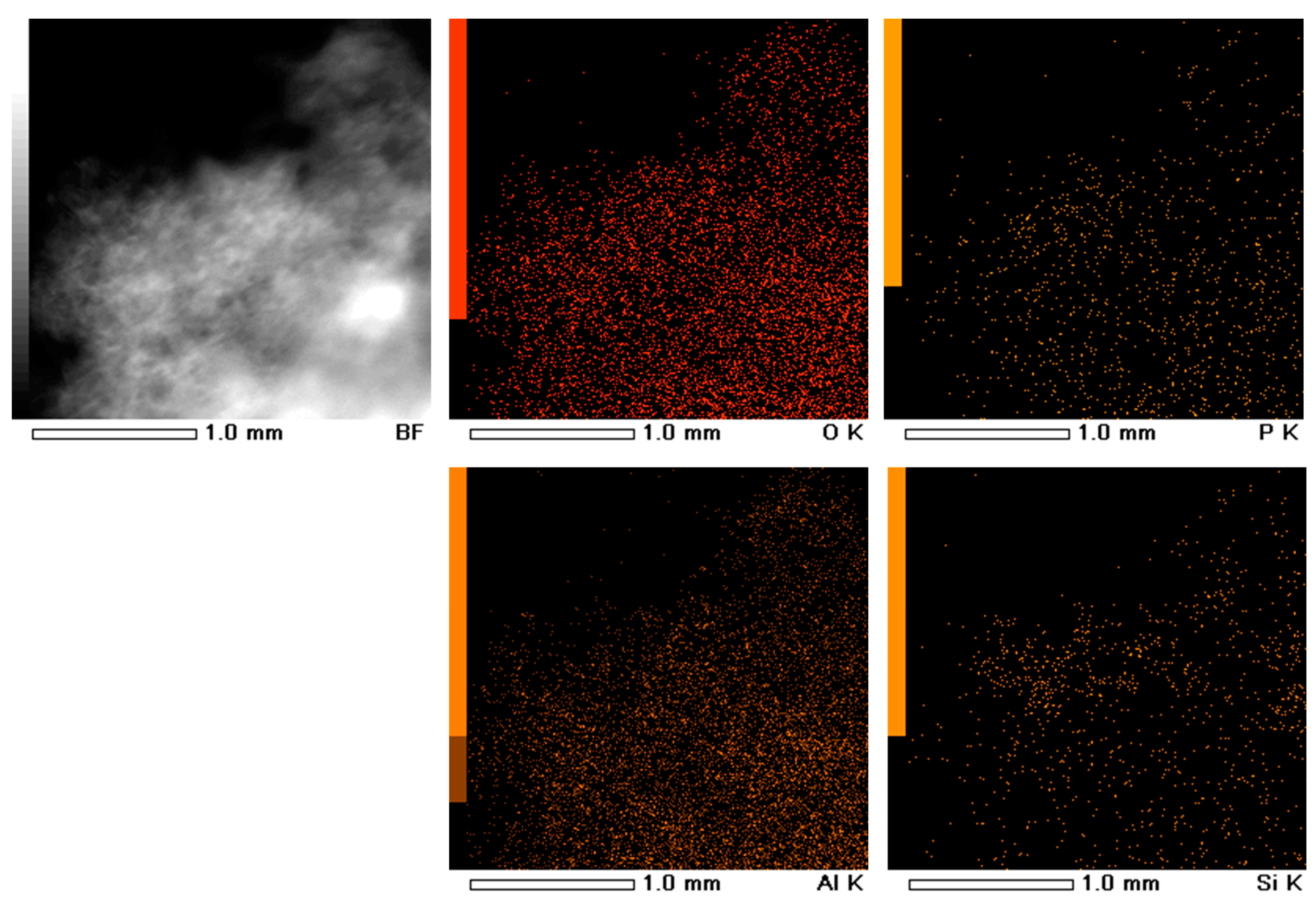 Catalysts 10 00594 g002 Catalysts 10 00594 g002
