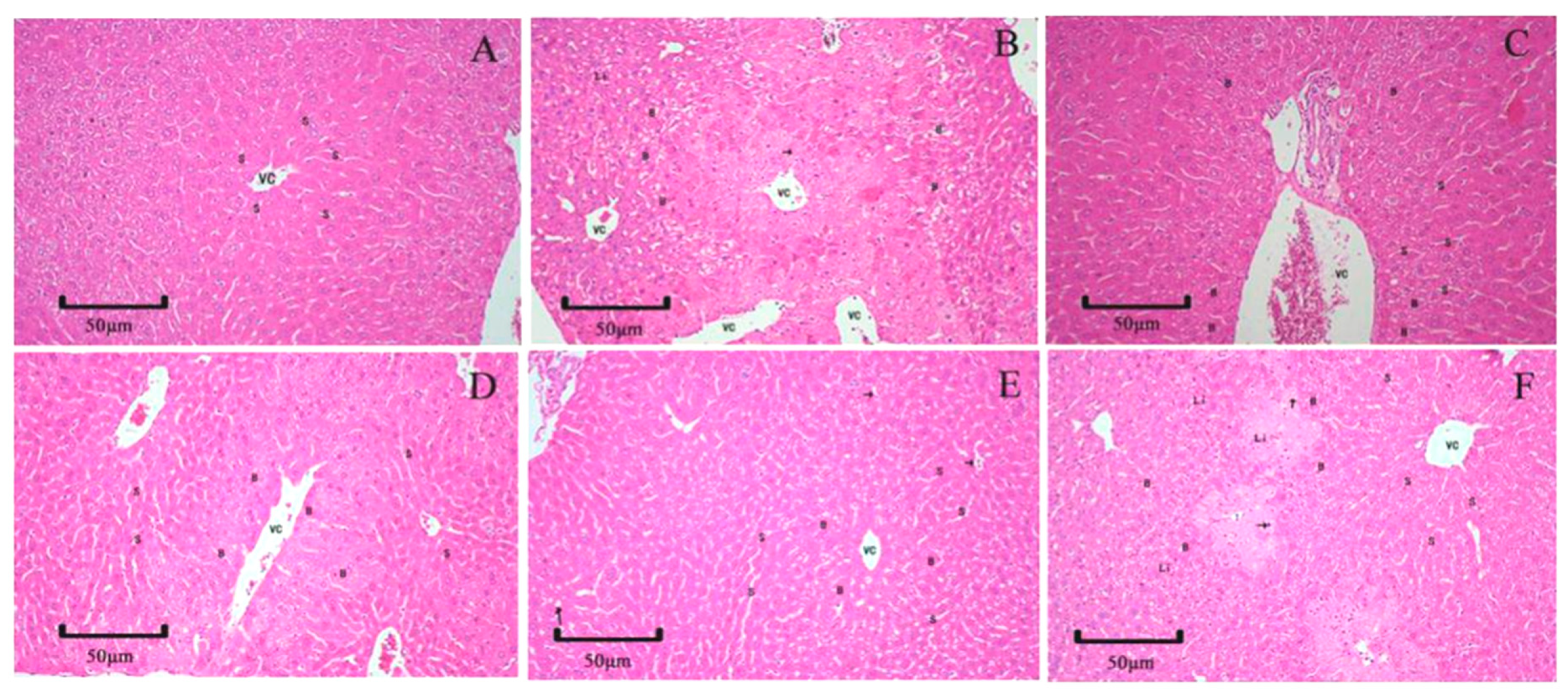 Catalysts 10 00595 g005 Catalysts 10 00595 g005