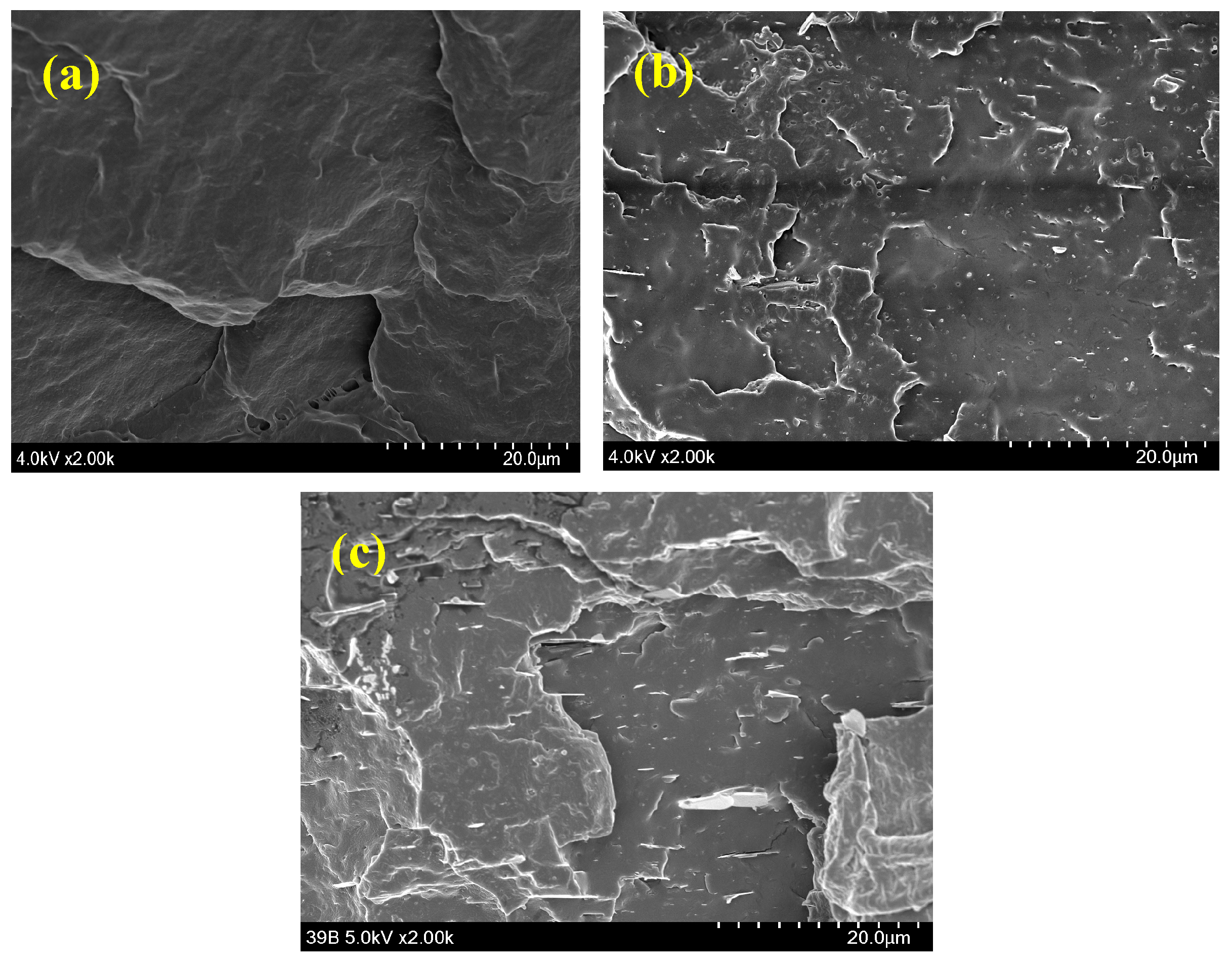 Catalysts 10 00596 g007 Catalysts 10 00596 g007