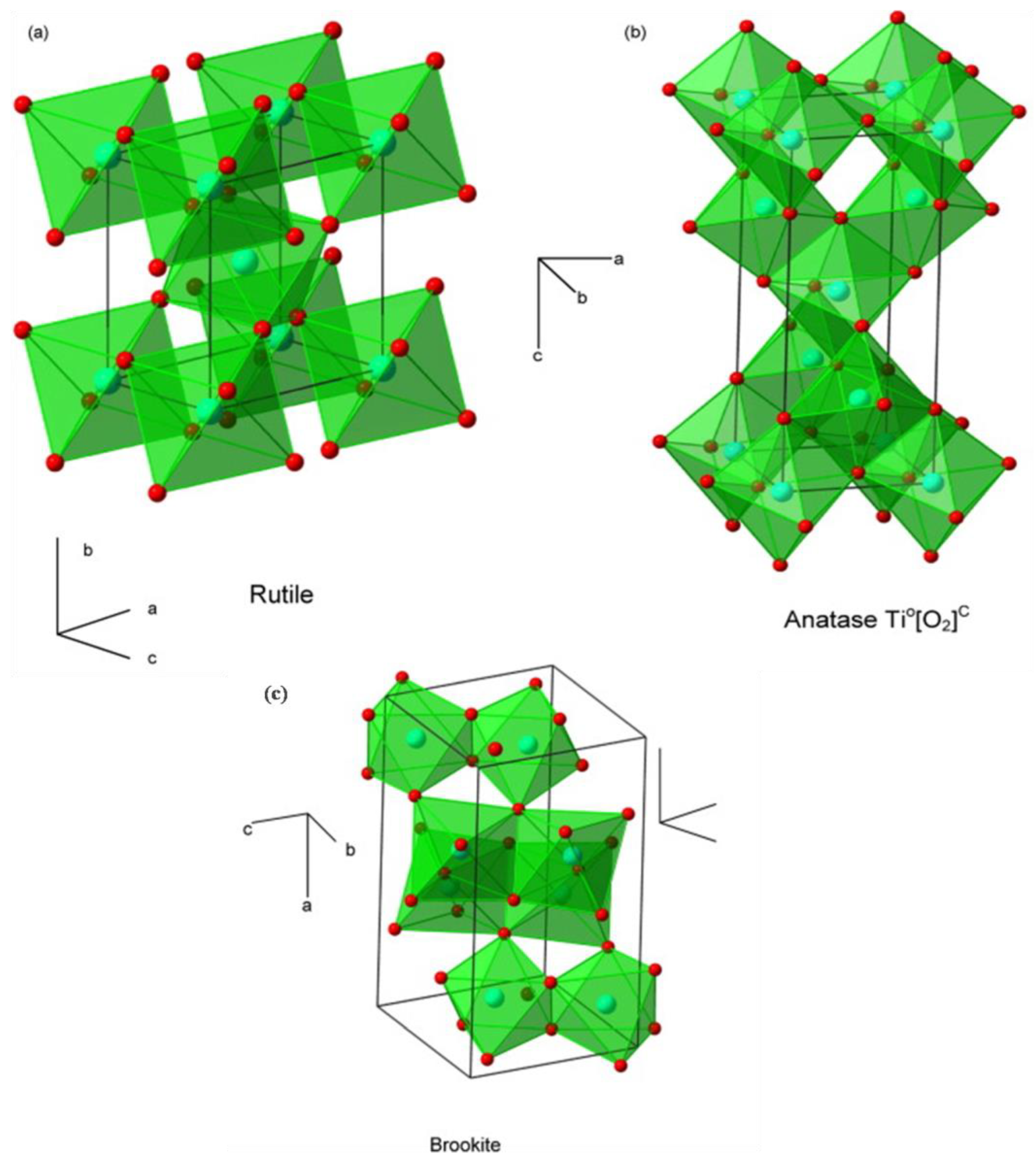 Catalysts 10 00598 g001