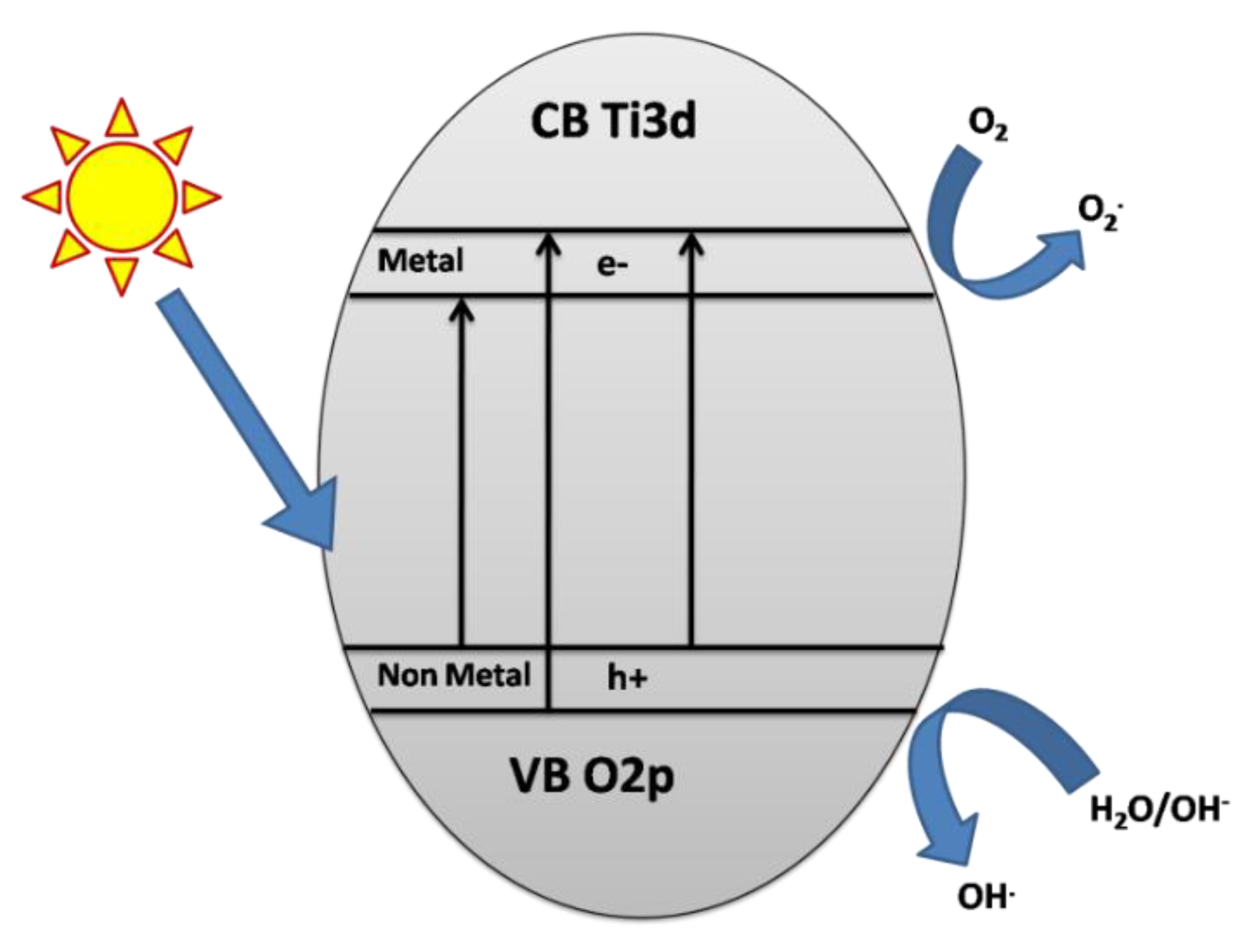 Catalysts 10 00598 g014