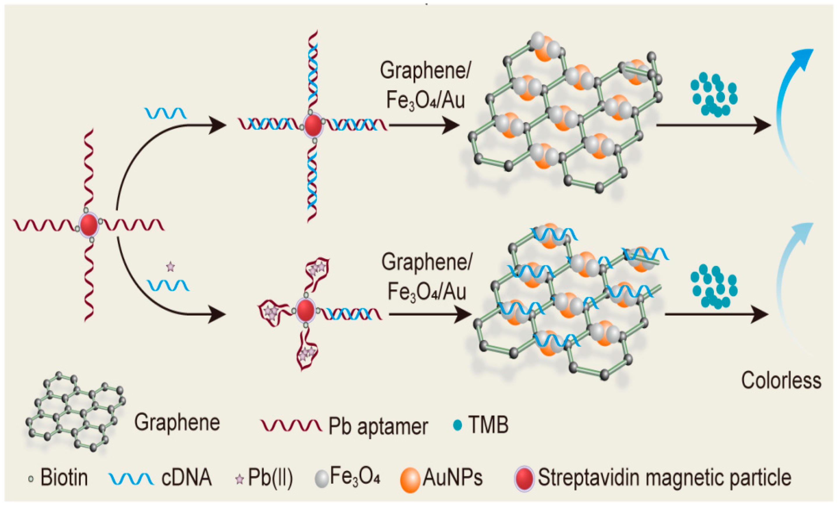 Catalysts 10 00600 g001