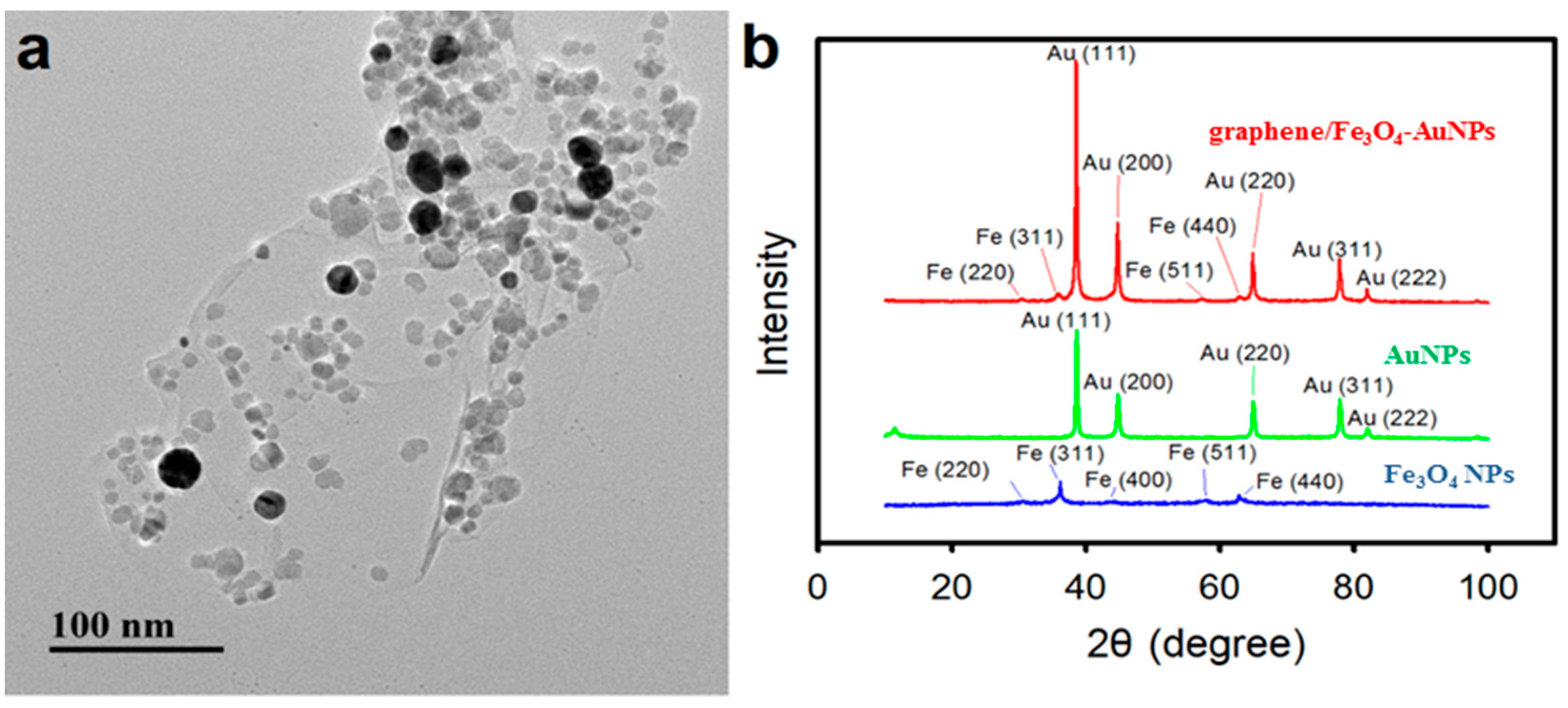 Catalysts 10 00600 g002